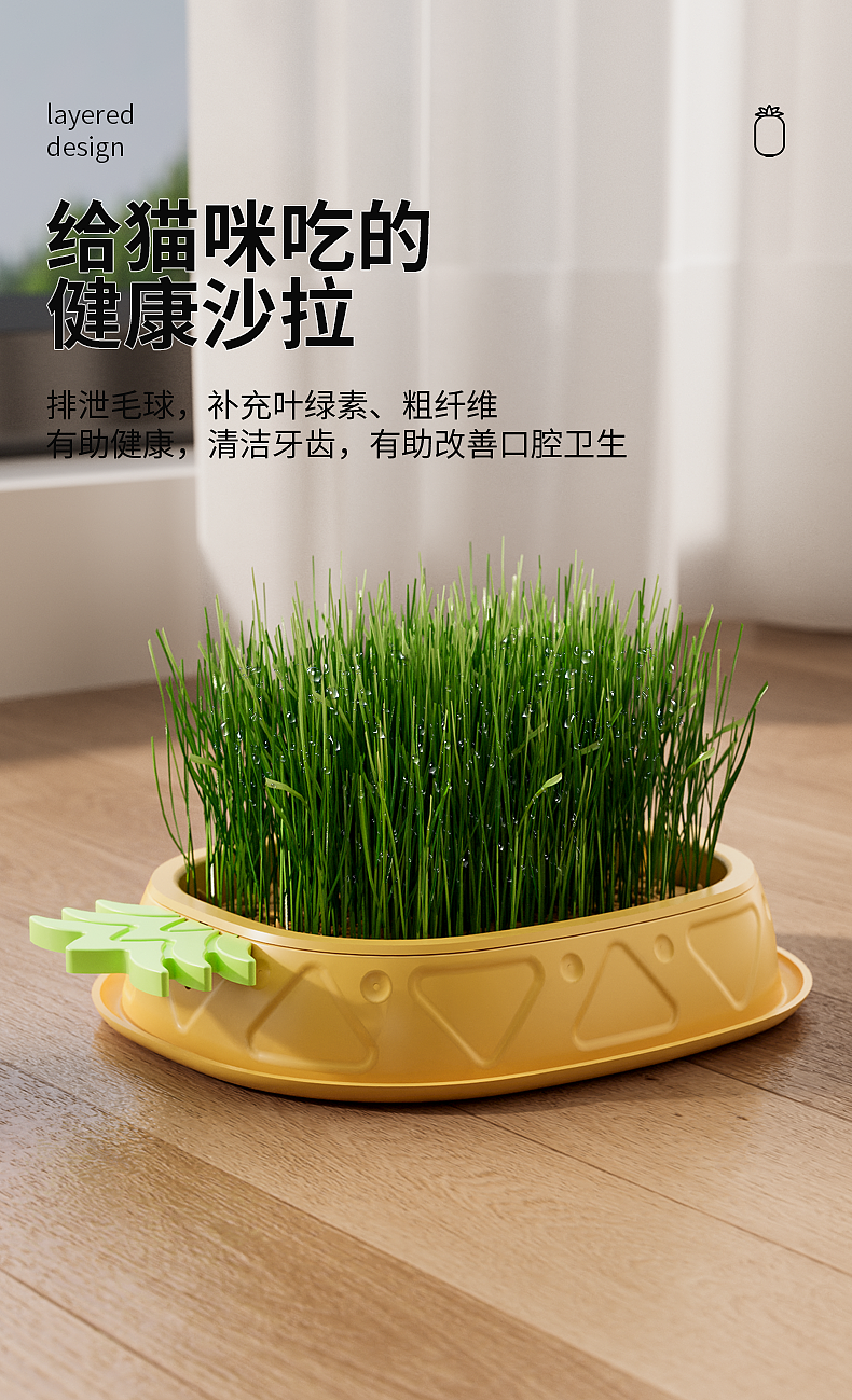 Pets，cat，Cat grass box，pineapple，Detail page，Render，