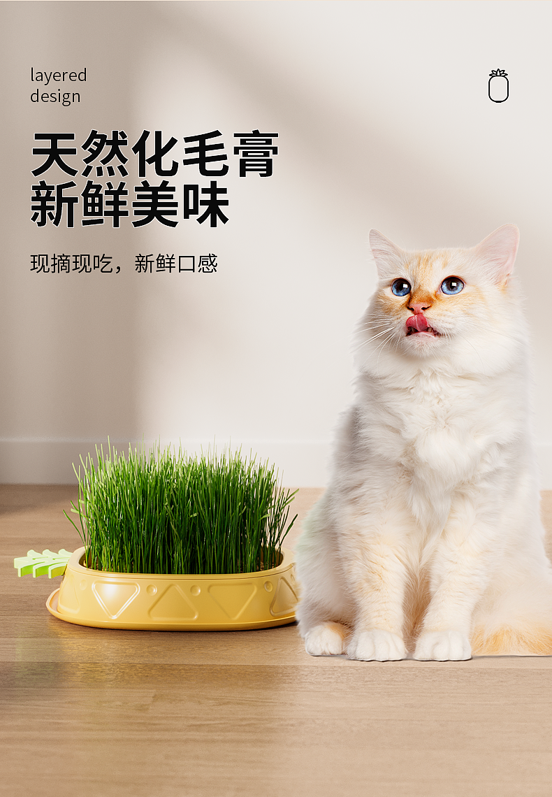 Pets，cat，Cat grass box，pineapple，Detail page，Render，