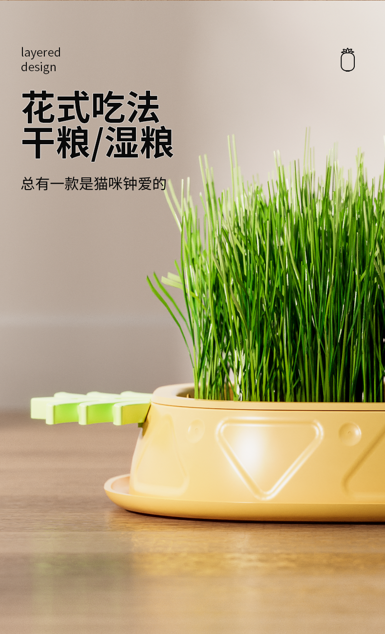 Pets，cat，Cat grass box，pineapple，Detail page，Render，