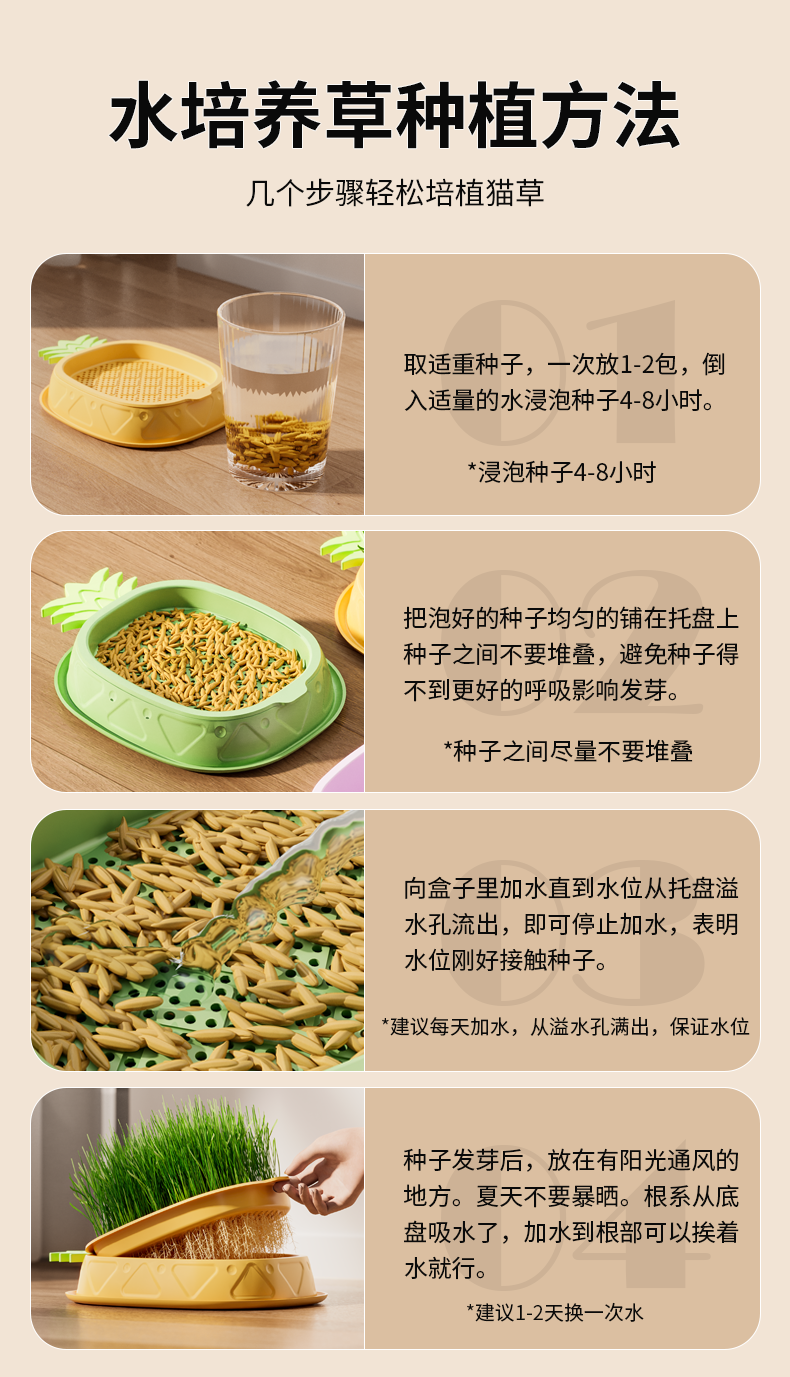 Pets，cat，Cat grass box，pineapple，Detail page，Render，