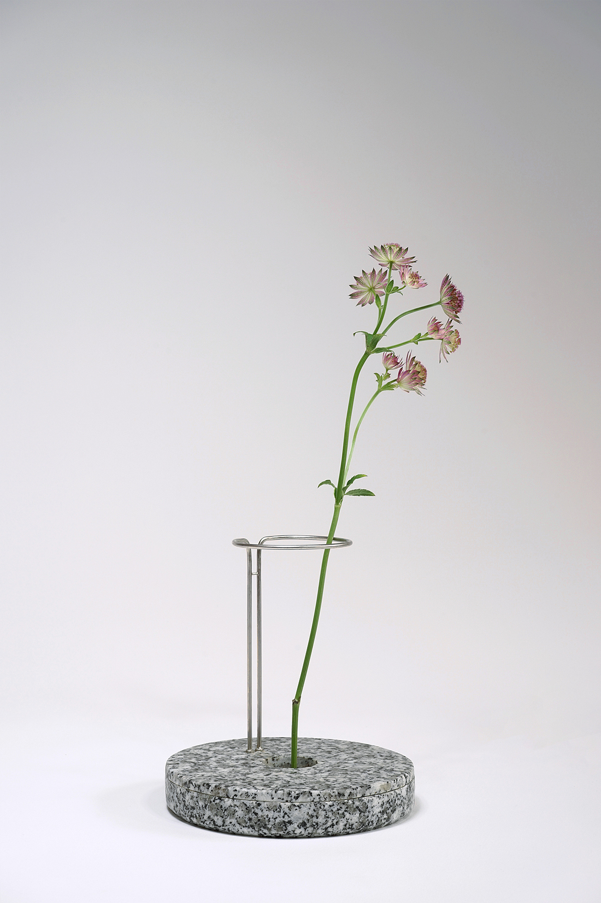 restaurant，vase，originality，