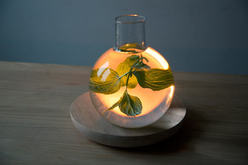 furniture，Home Furnishing，Glass，lamp，woodiness，Utensils，Ornaments，