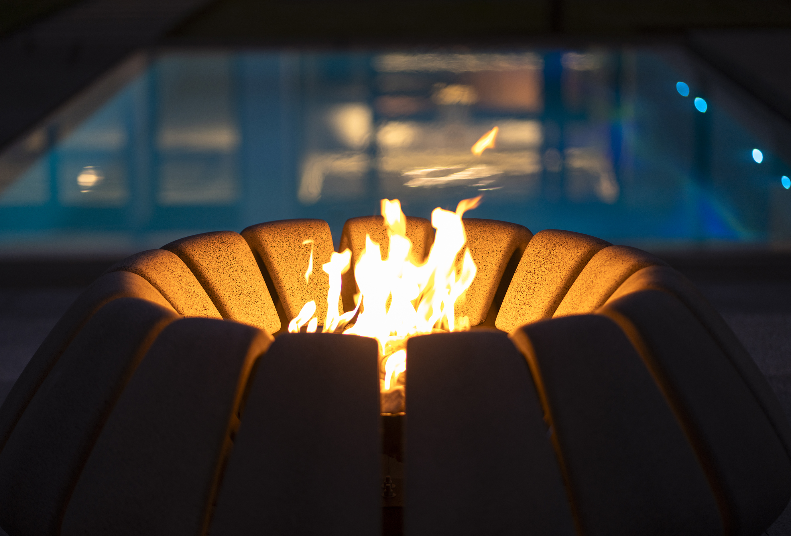concrete，Fire pit，Sunflower，