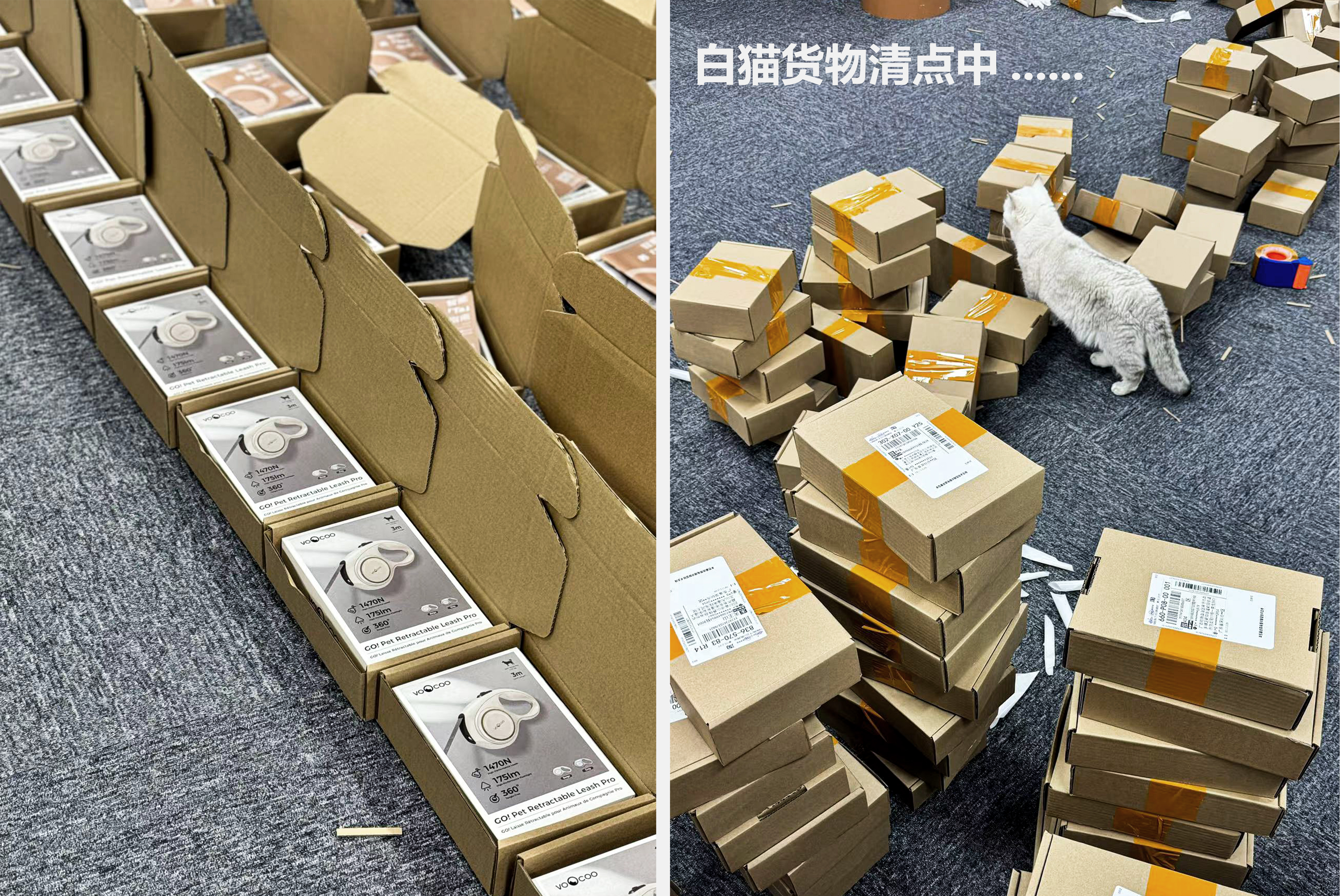 Pet Supplies & Pet，Dog，Pet Outdoor Products，Traction rope，Pet traction rope，Telescopic traction rope，Dog Leash，Cat products，