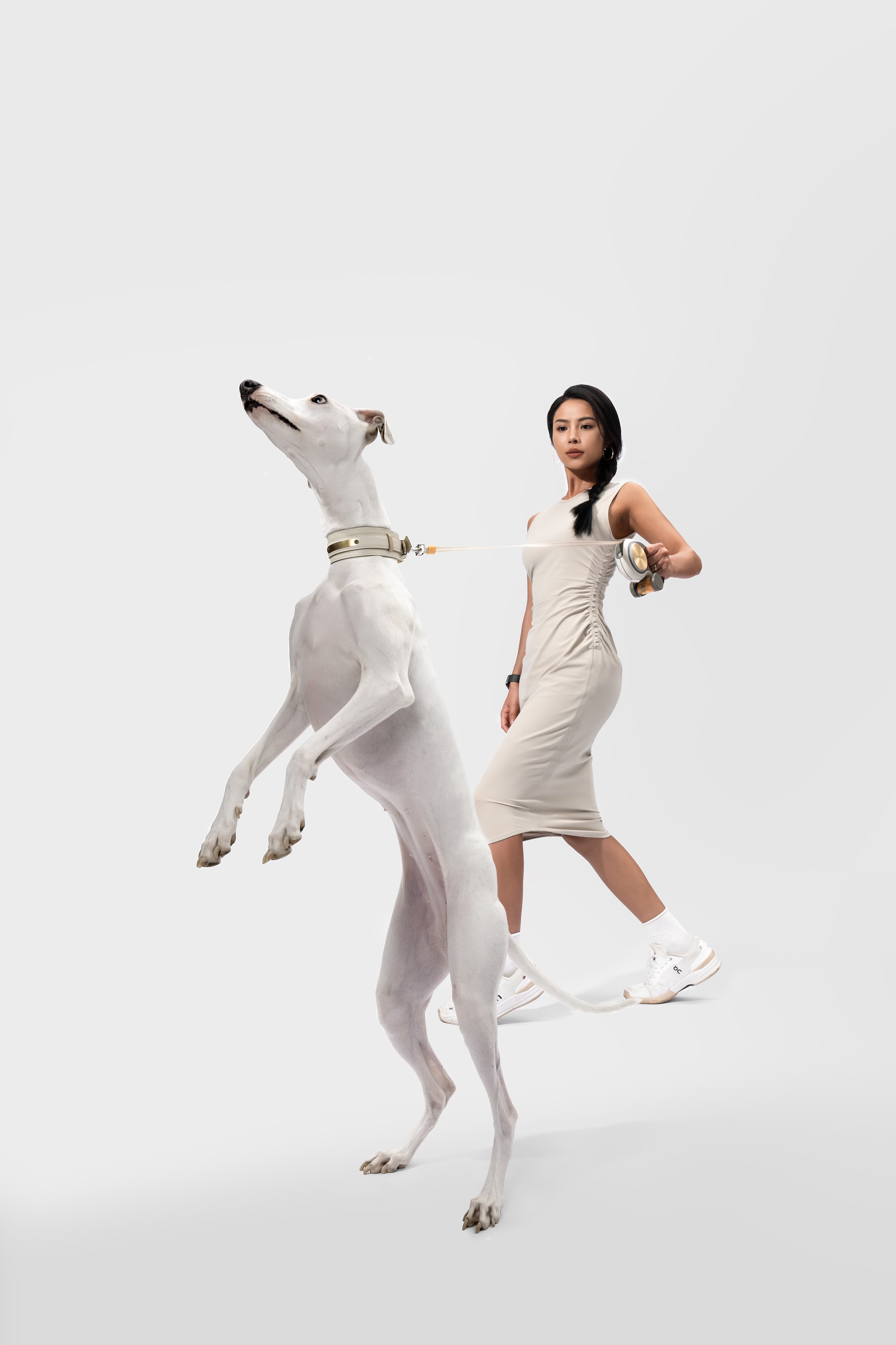 Pet Supplies & Pet，Dog，Pet Outdoor Products，Traction rope，Pet traction rope，Telescopic traction rope，Dog Leash，Cat products，