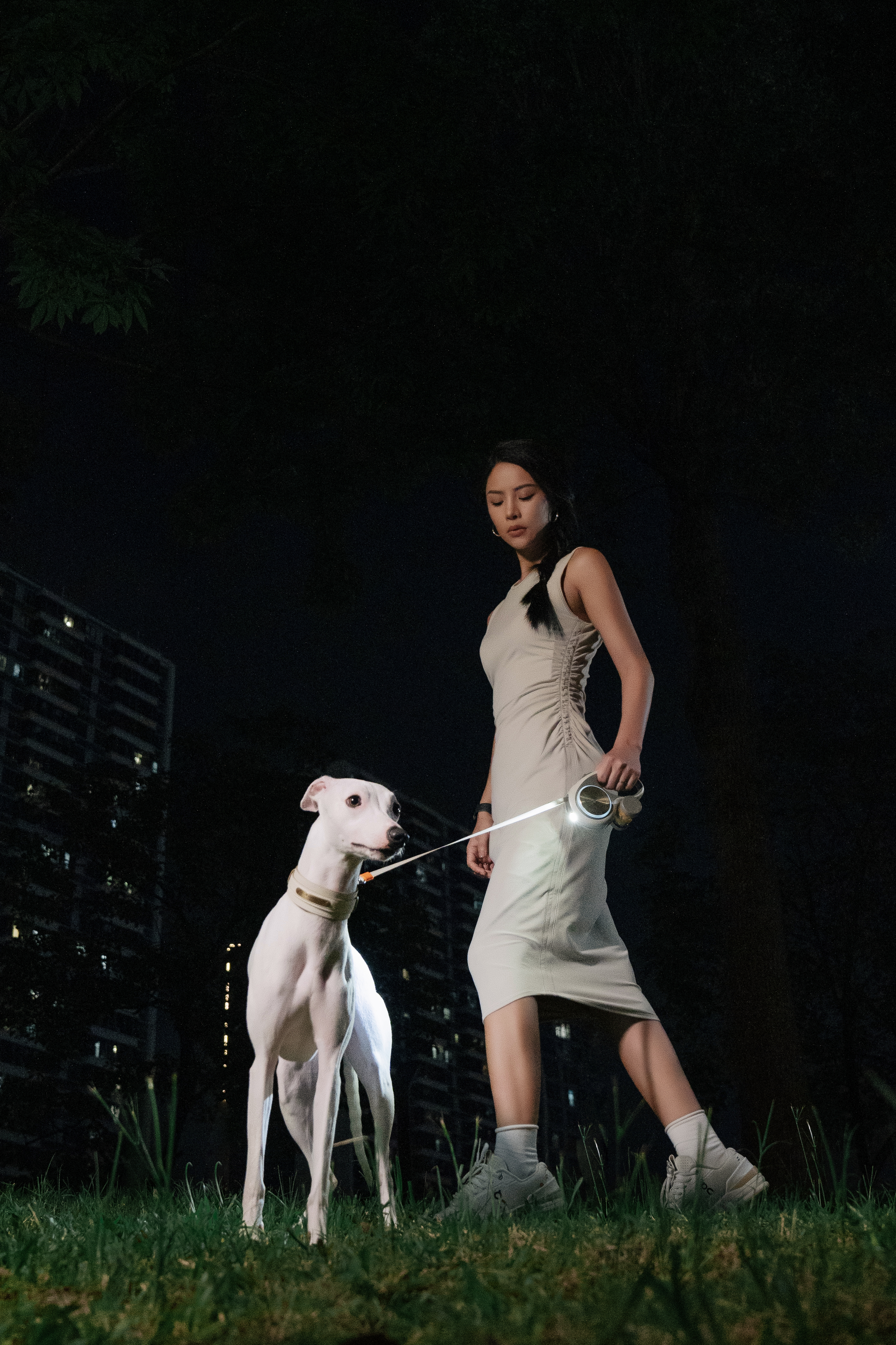 Pet Supplies & Pet，Dog，Pet Outdoor Products，Traction rope，Pet traction rope，Telescopic traction rope，Dog Leash，Cat products，