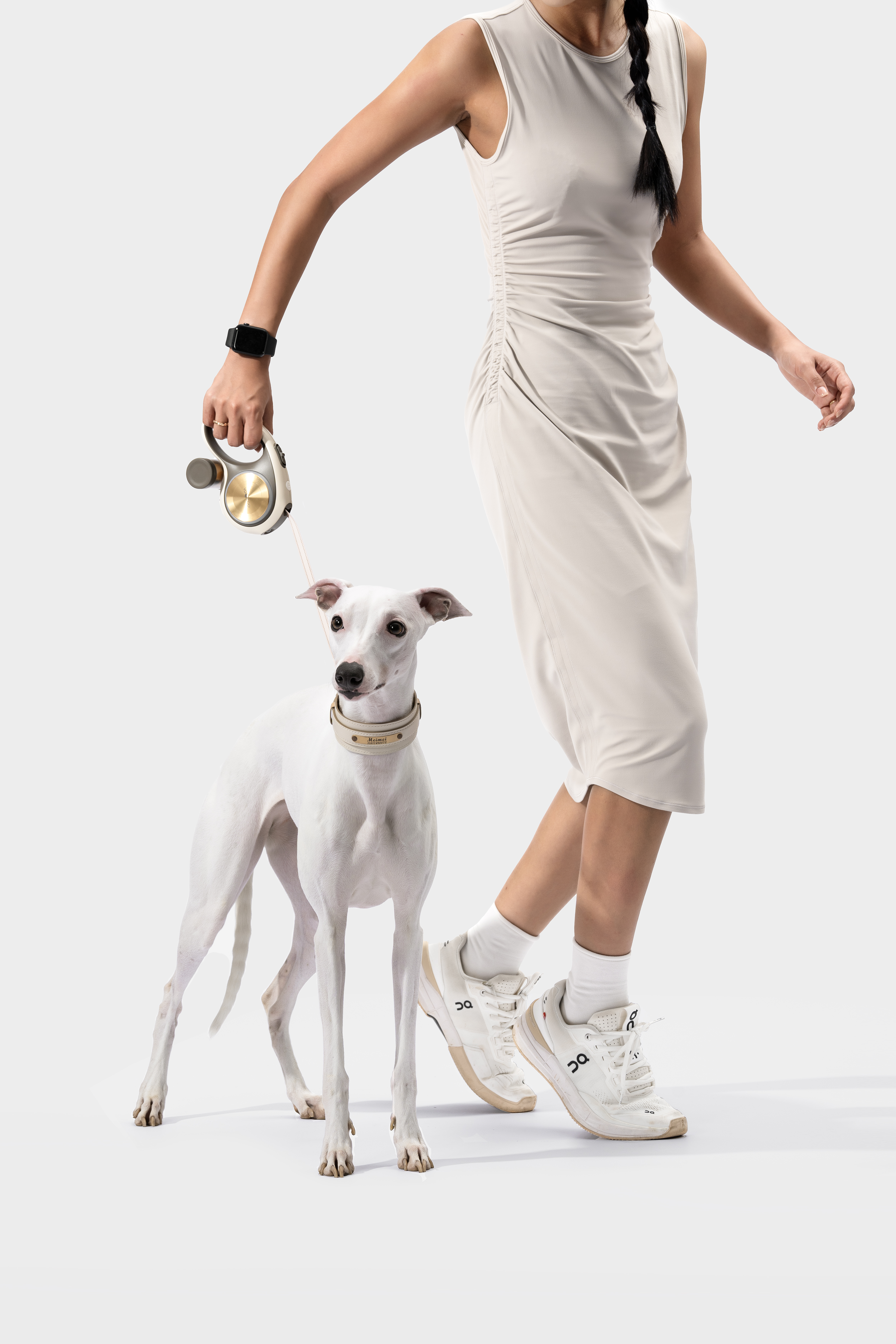 Pet Supplies & Pet，Dog，Pet Outdoor Products，Traction rope，Pet traction rope，Telescopic traction rope，Dog Leash，Cat products，