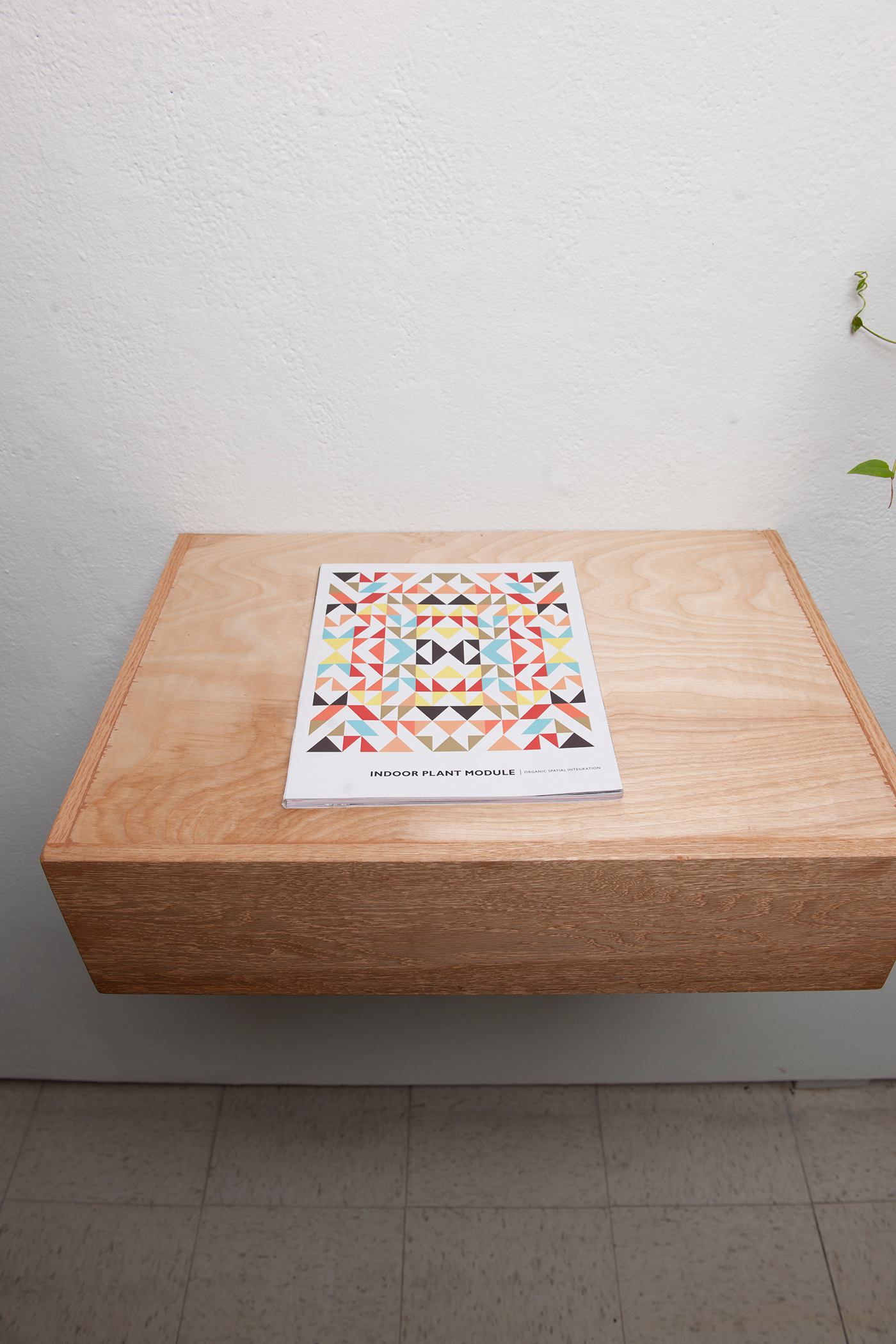 Indoor Plant，Module，Botany，Potted plants，