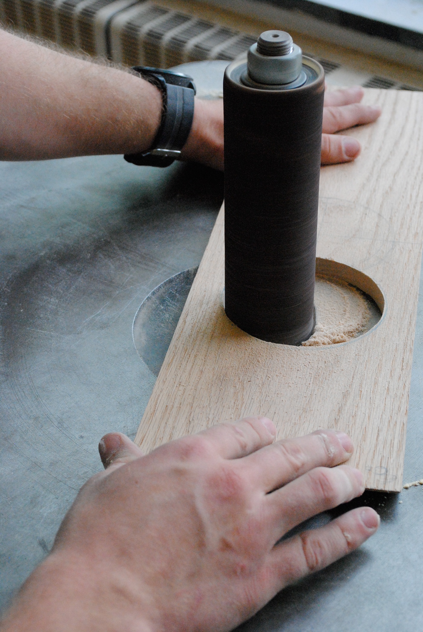 Indoor Plant，Module，Botany，Potted plants，