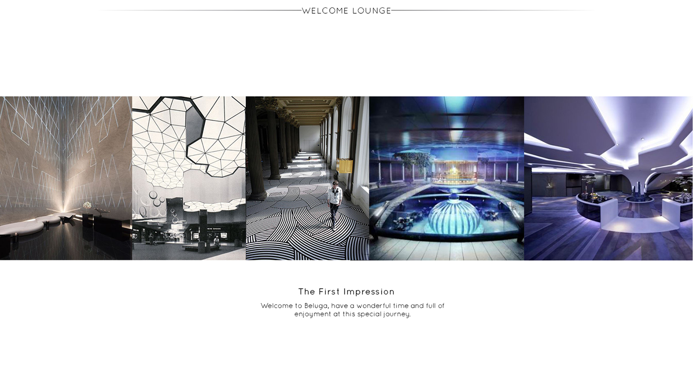 Beluga，Arctic exploration ship，Cruise，