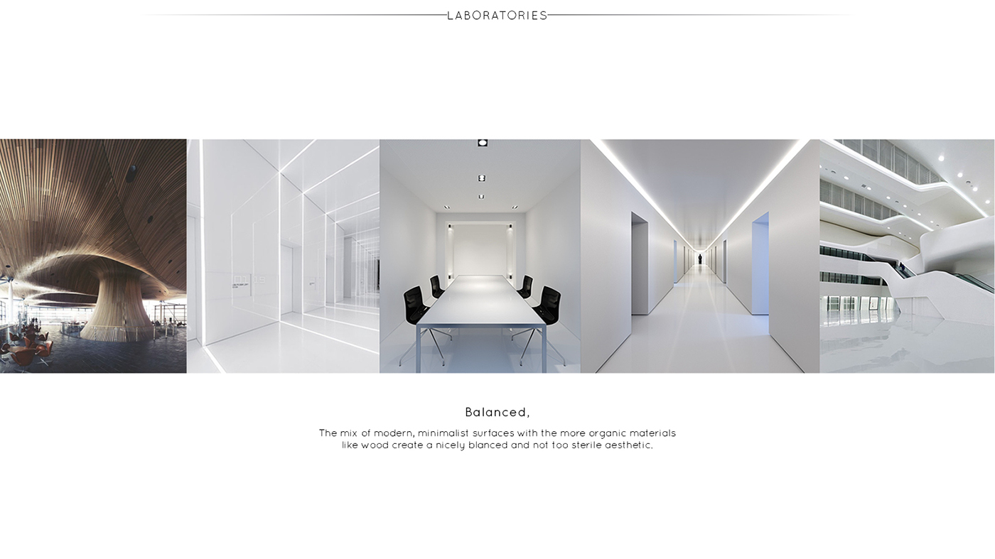 Beluga，Arctic exploration ship，Cruise，