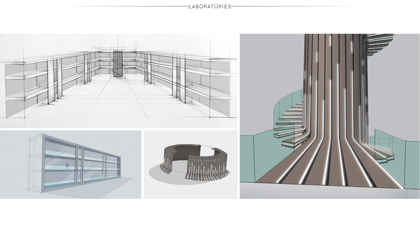Beluga，Arctic exploration ship，Cruise，