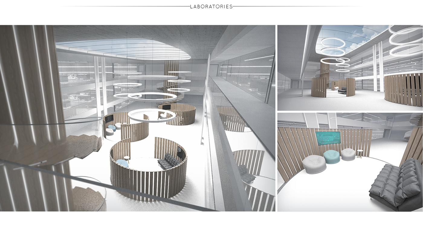 Beluga，Arctic exploration ship，Cruise，