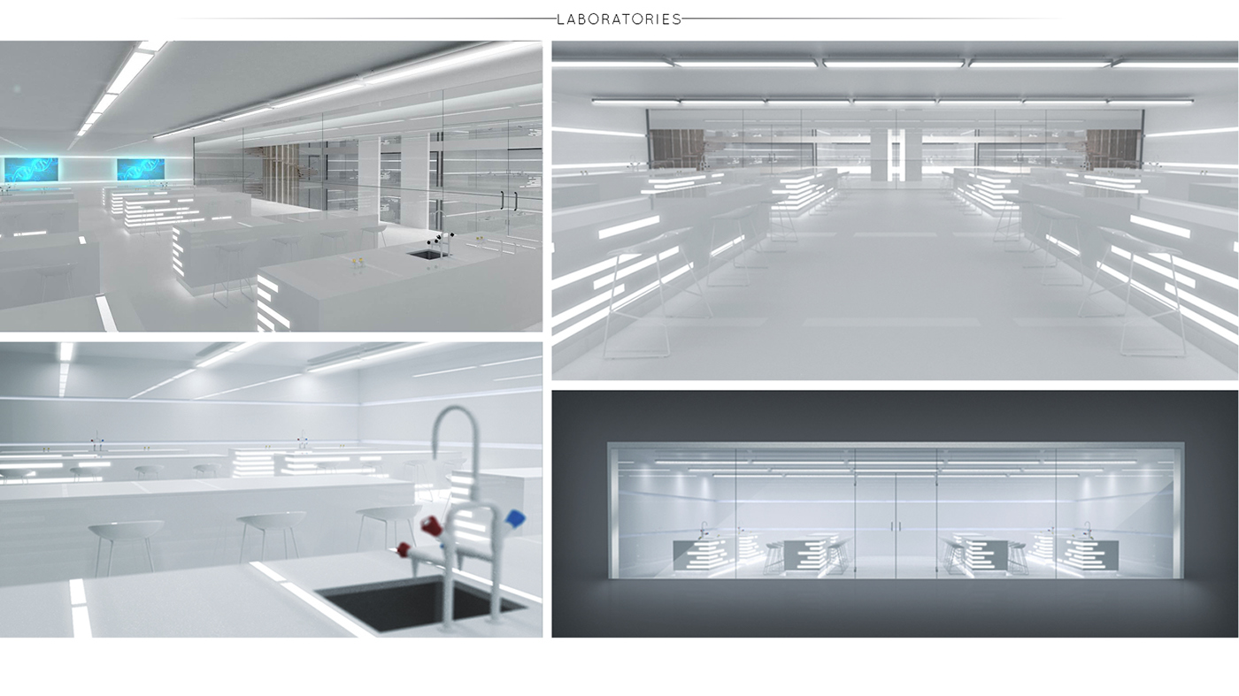 Beluga，Arctic exploration ship，Cruise，