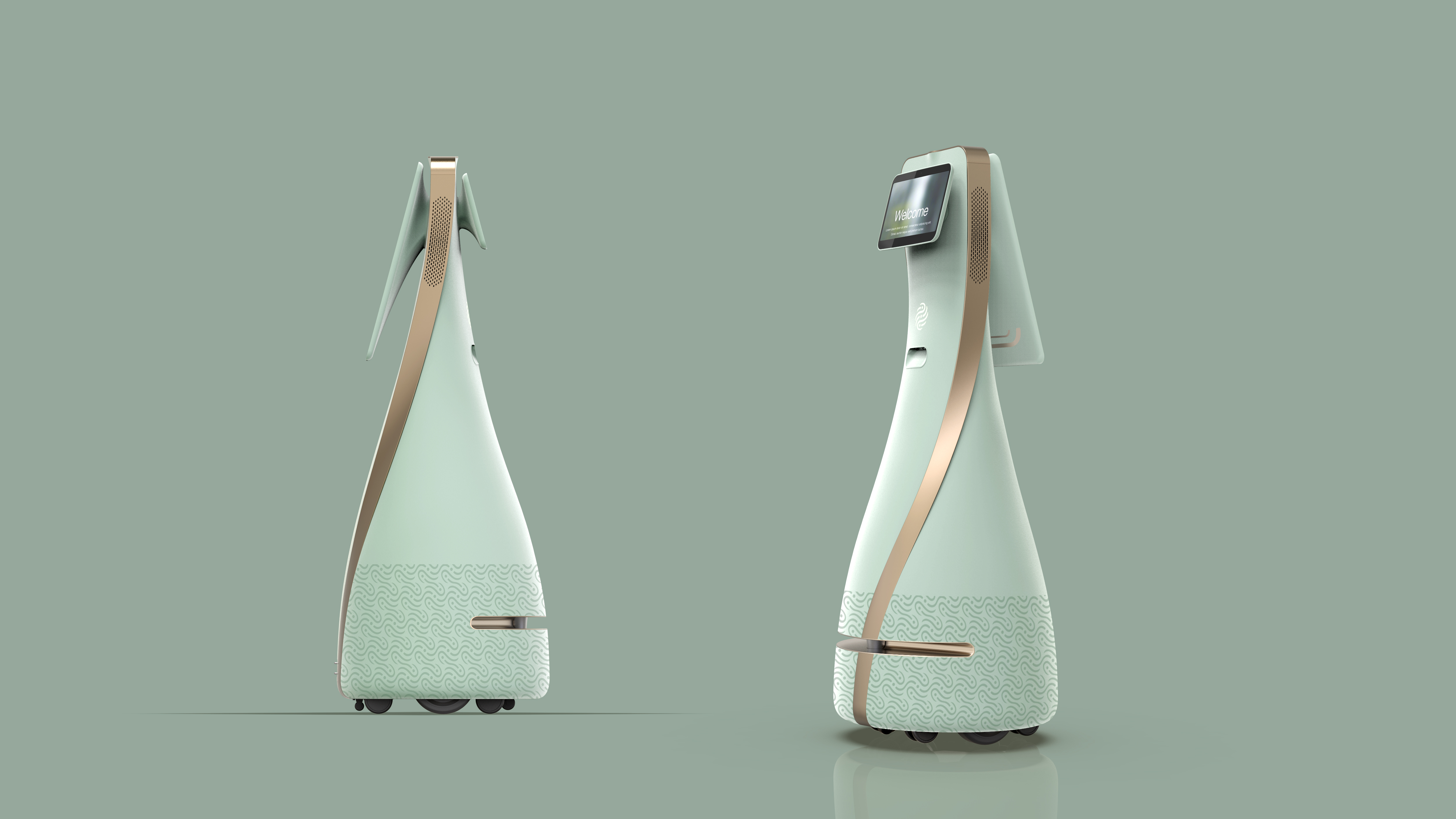 intelligent interactive robot，