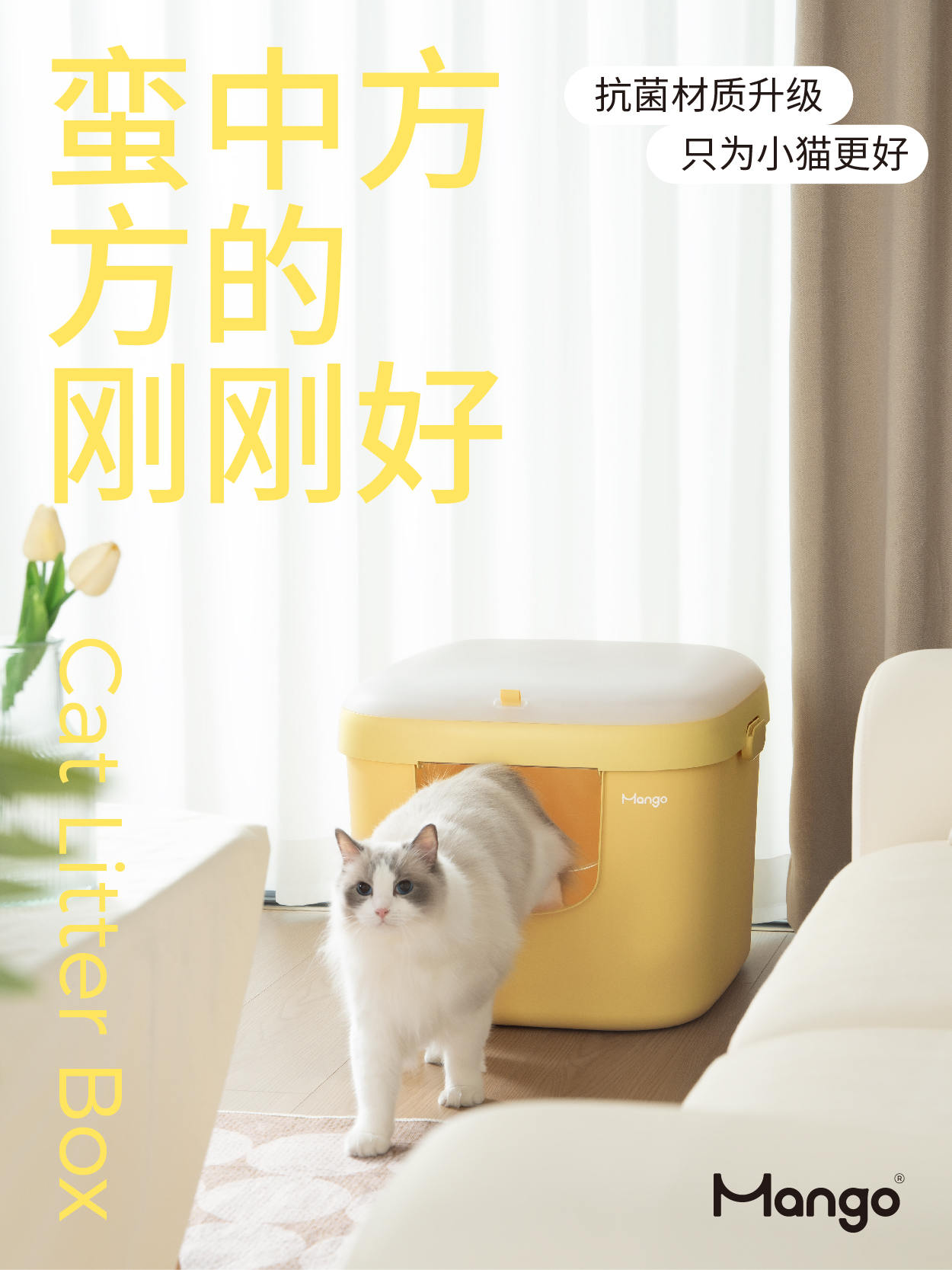 Litter Basin，Pets，Bute Fruit Pet，Kitty，