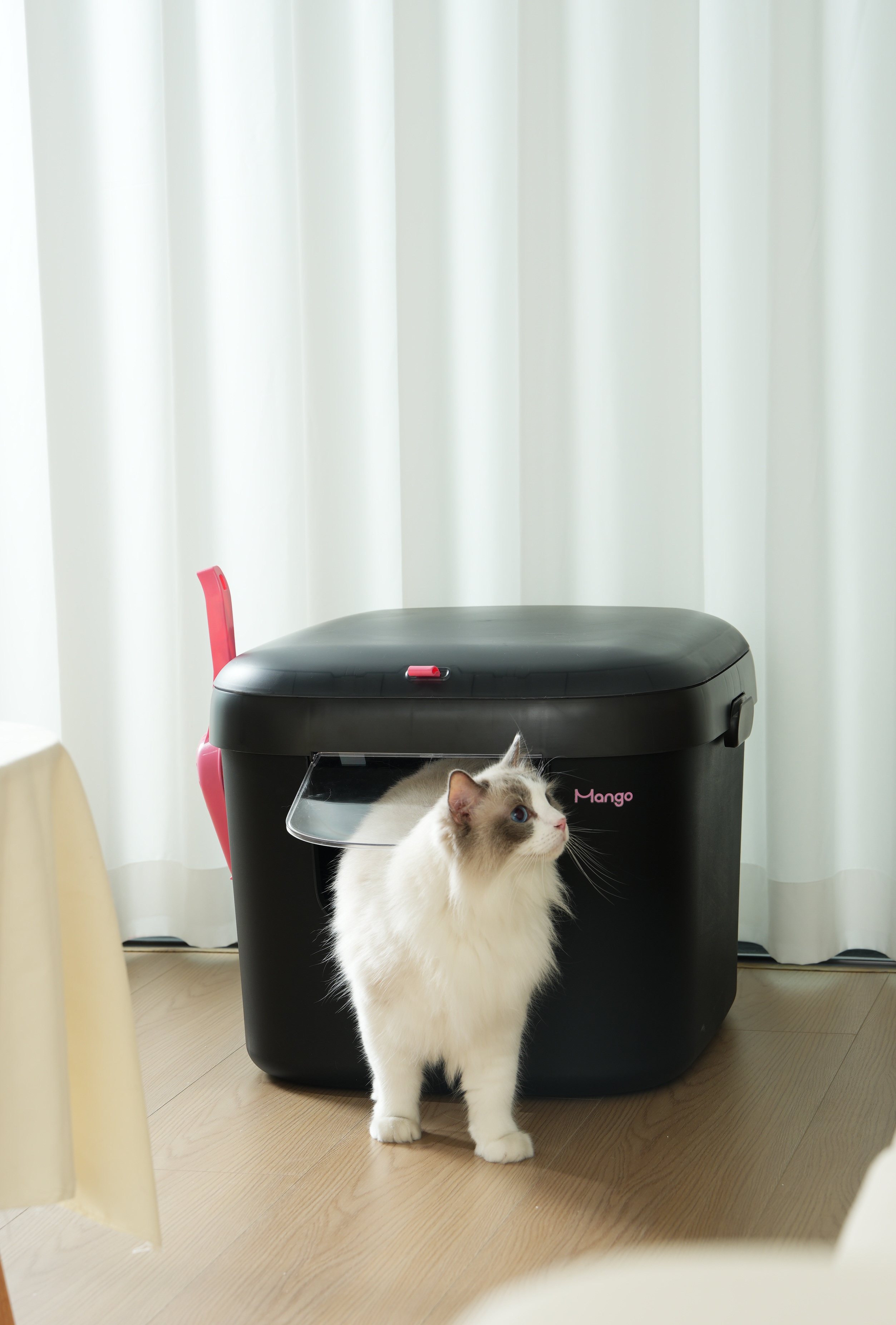 Litter Basin，Pets，Bute Fruit Pet，Kitty，