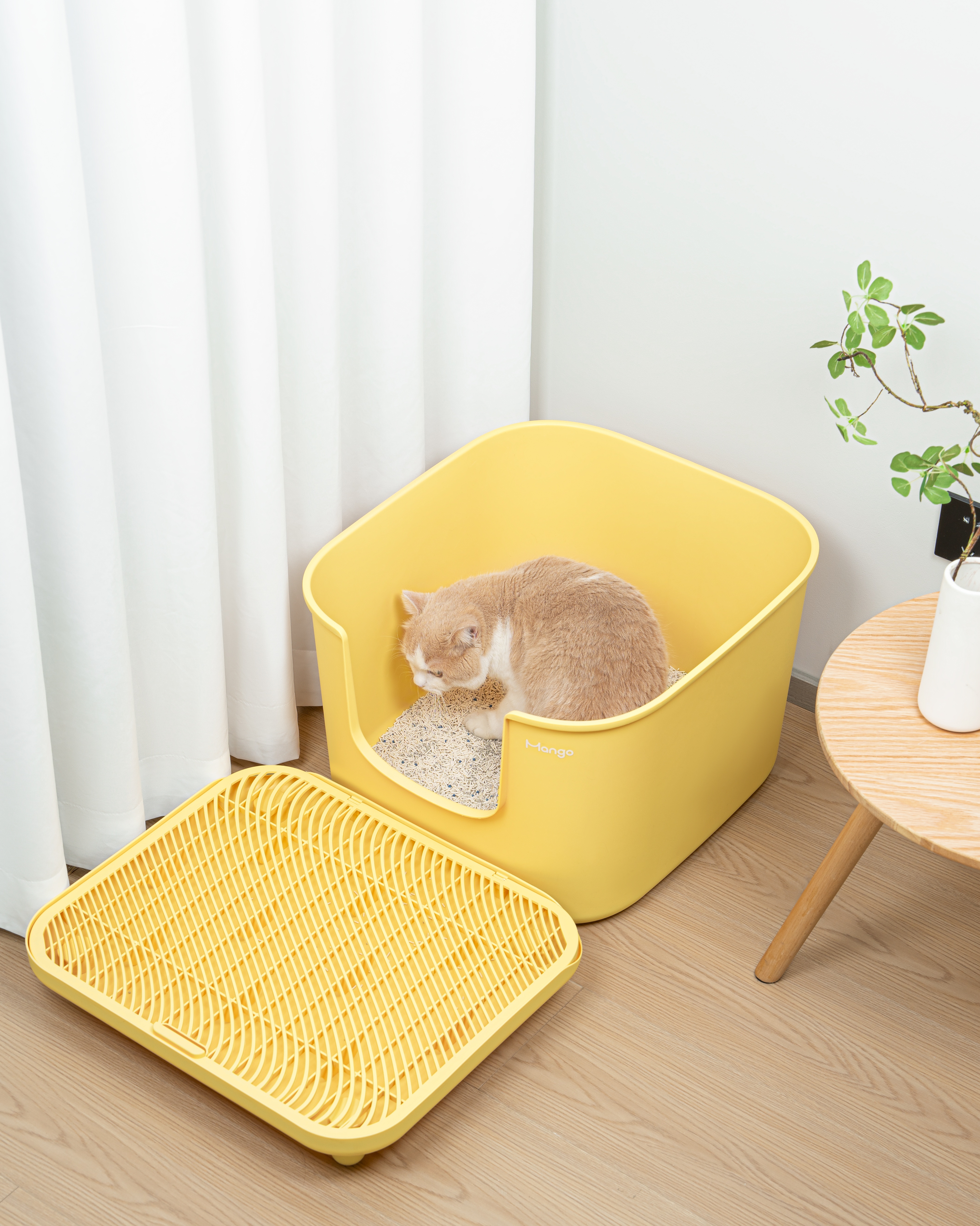Litter Basin，Pets，Bute Fruit Pet，Kitty，