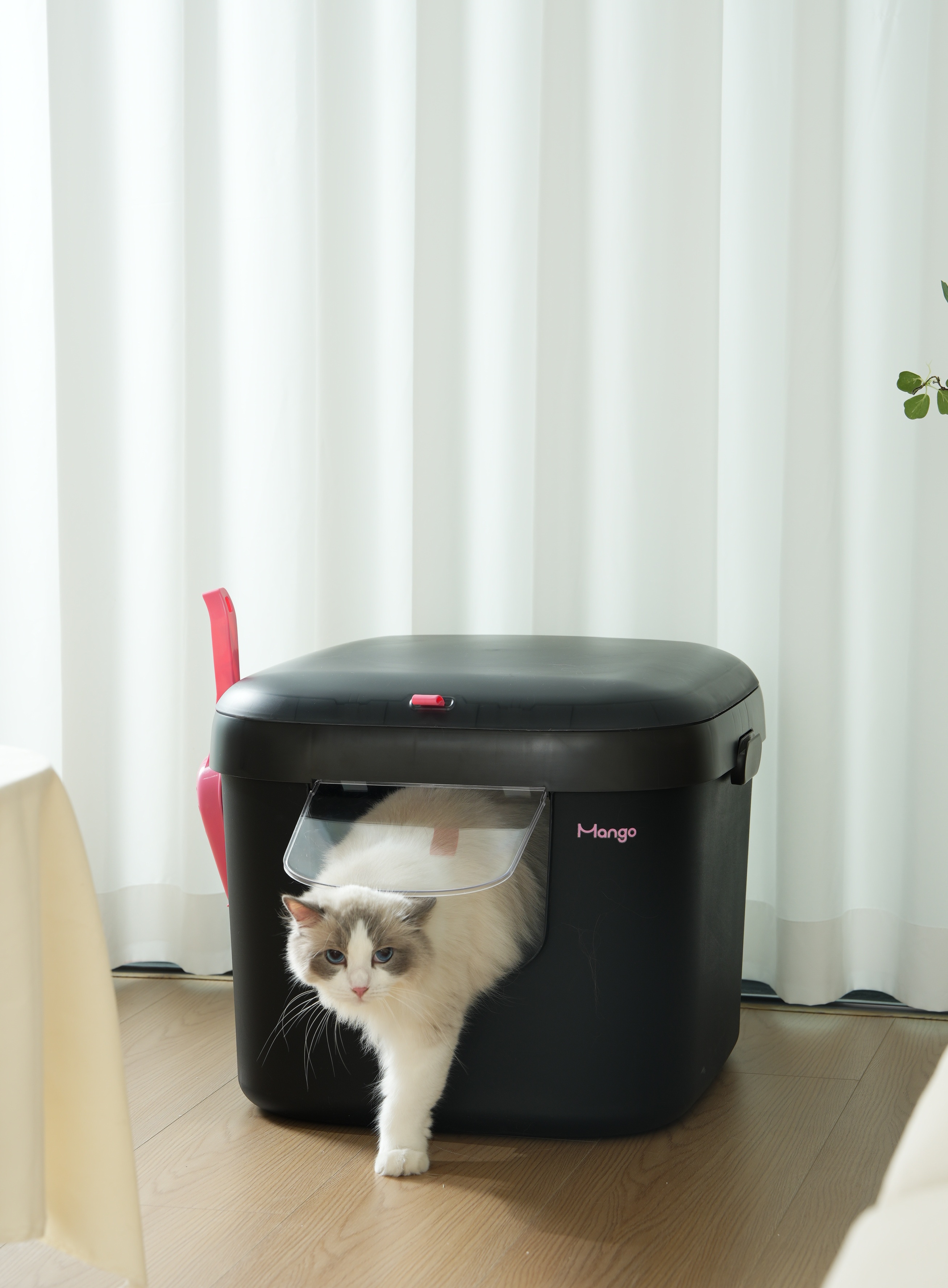 Litter Basin，Pets，Bute Fruit Pet，Kitty，