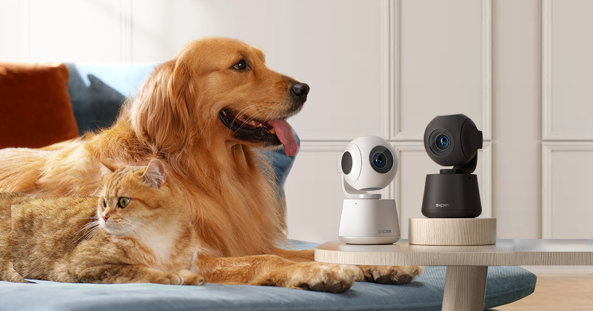 Pets，science and technology，Camera，monitor，ai，Intelligent monitoring，