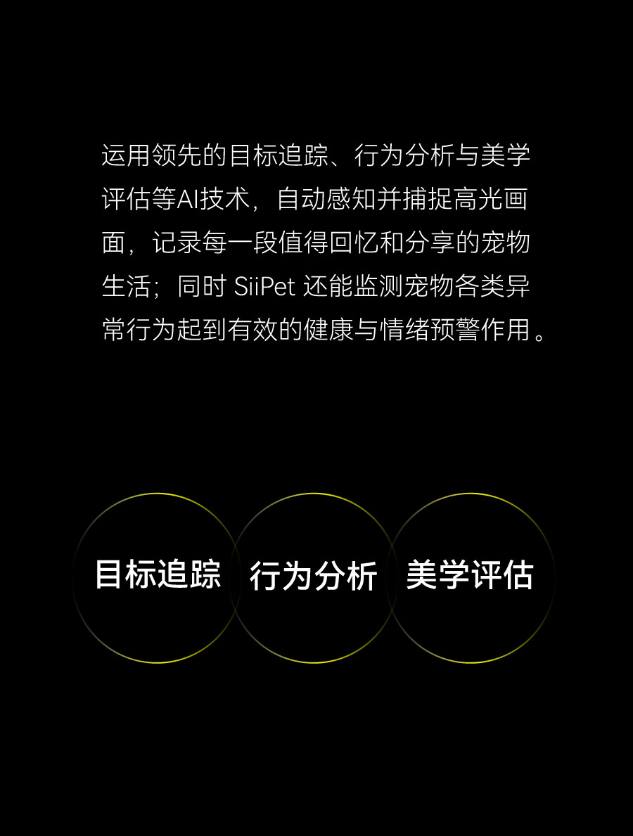 Pets，science and technology，Camera，monitor，ai，Intelligent monitoring，
