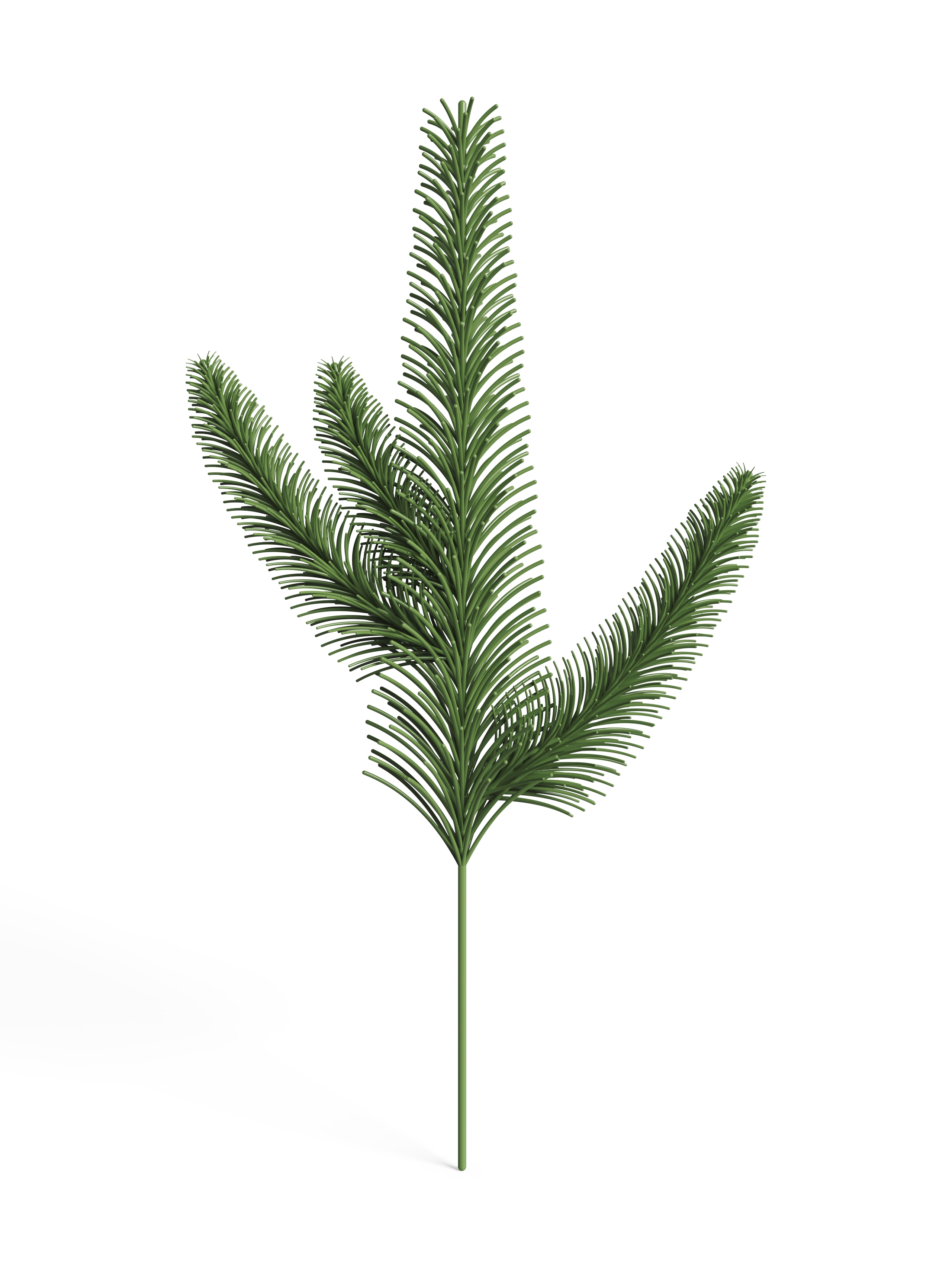 christmas tree，leaf，