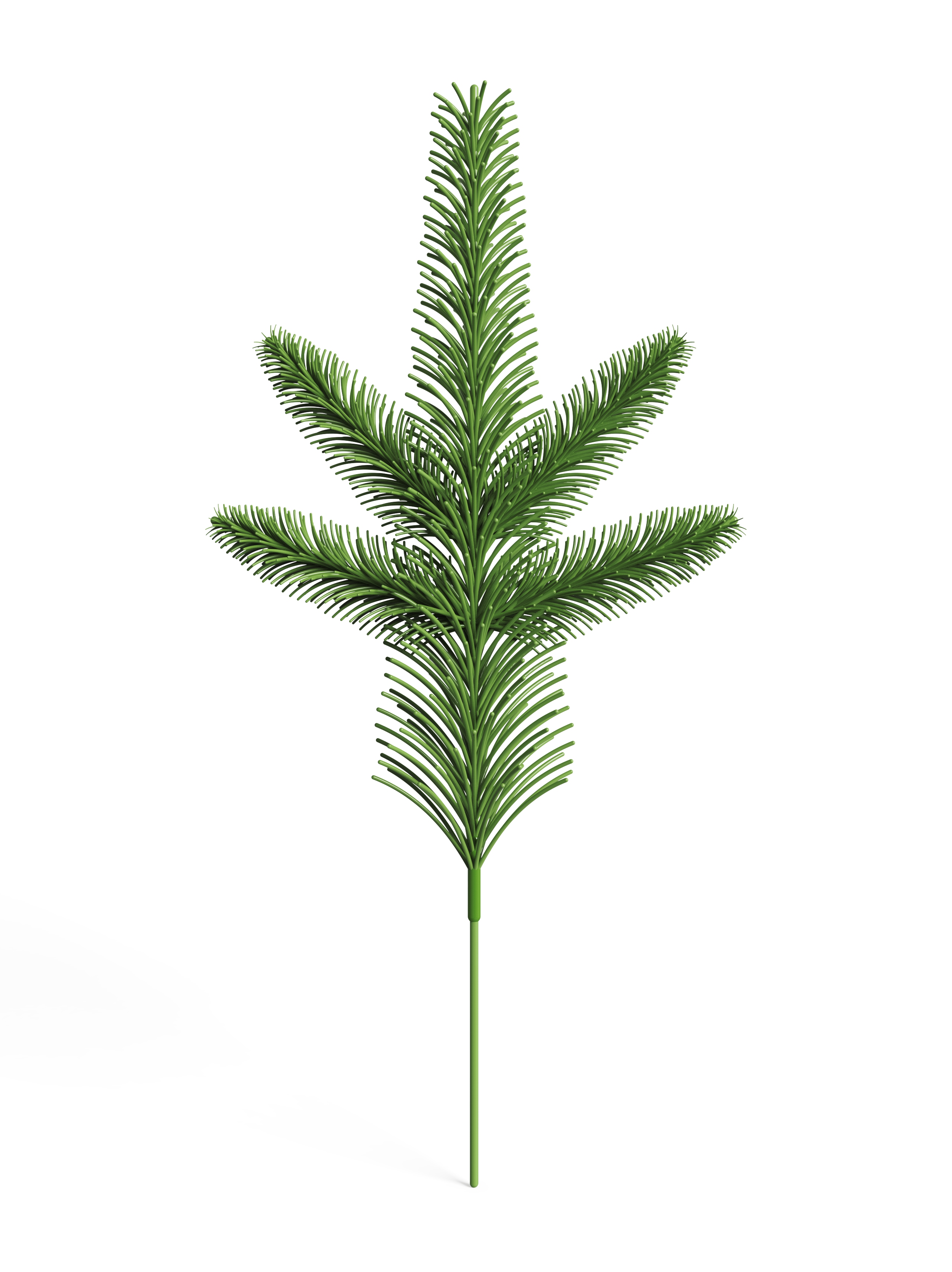 christmas tree，leaf，