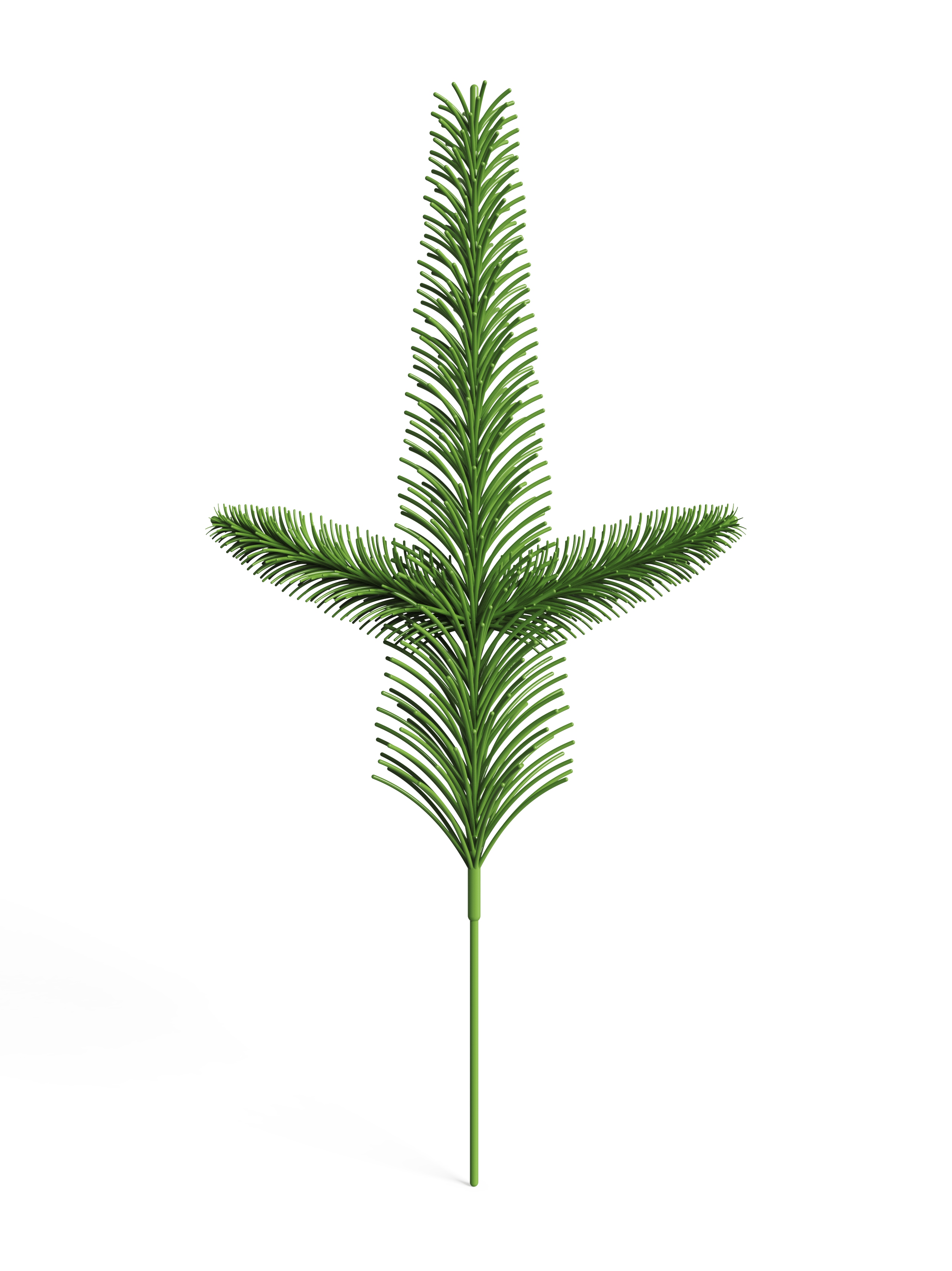 christmas tree，leaf，