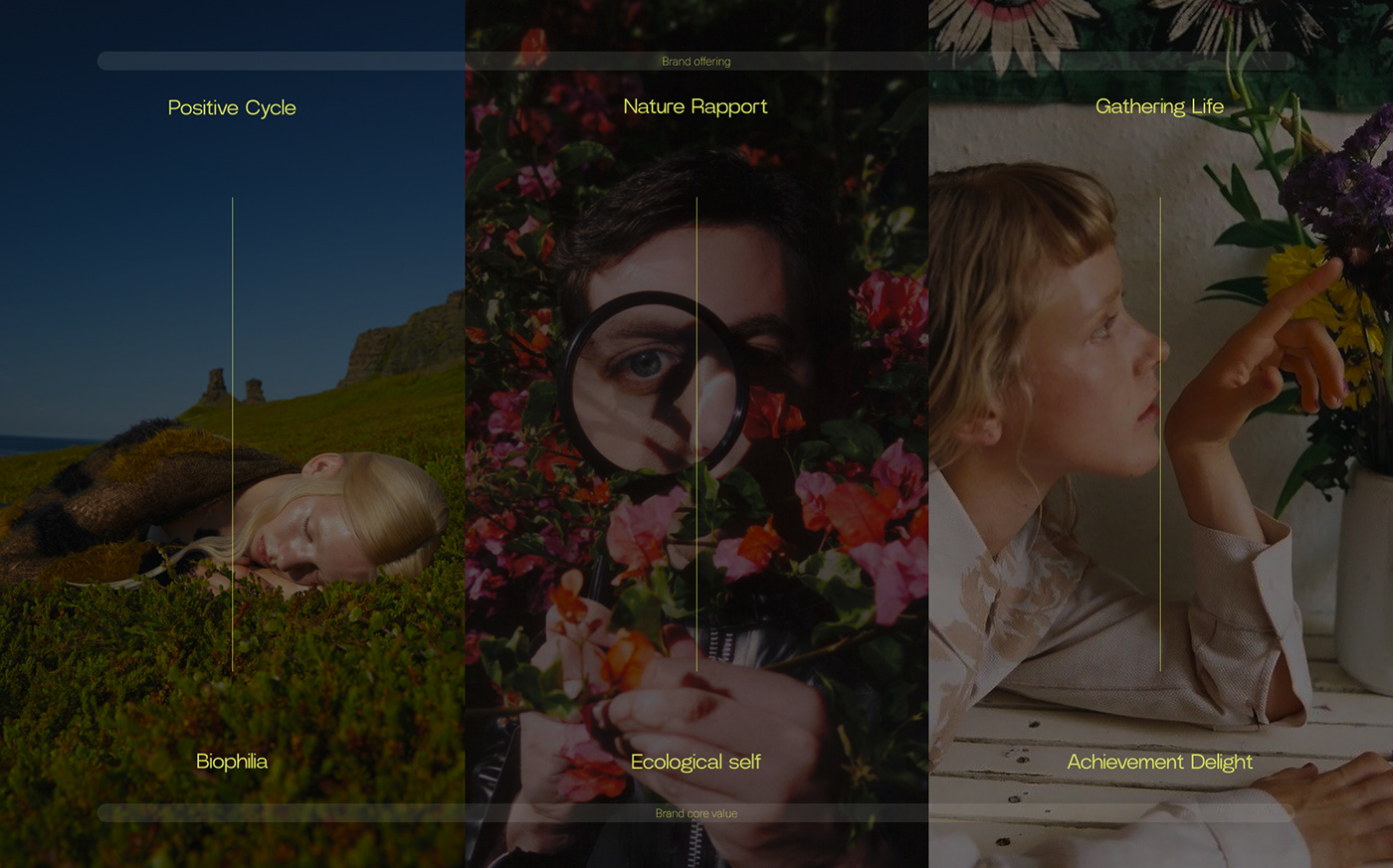 cultivate，Botany，Potted plants，electric energy，