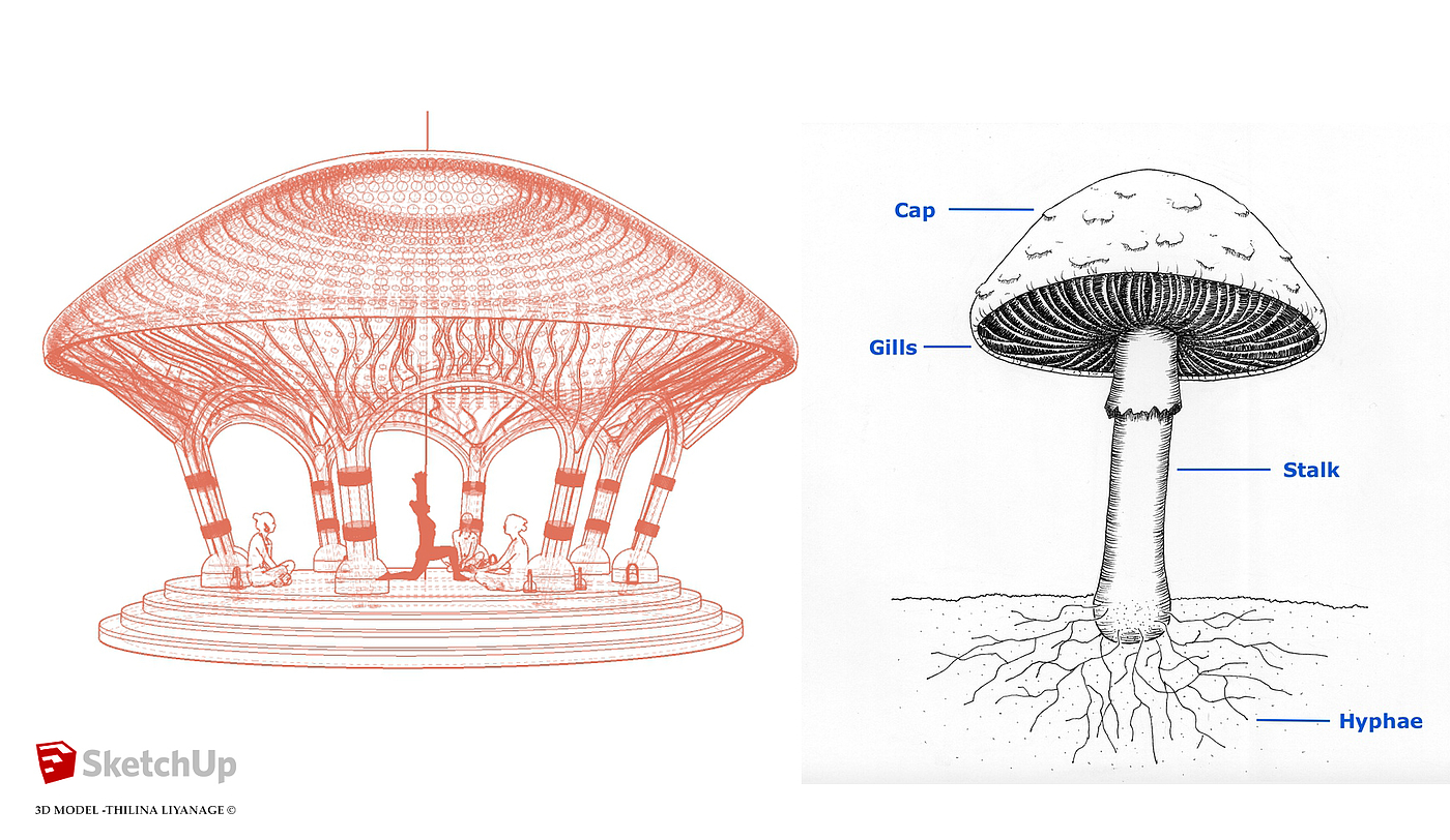 Mushroom shape，conceptual design，Architecture，outdoors，leisure time，