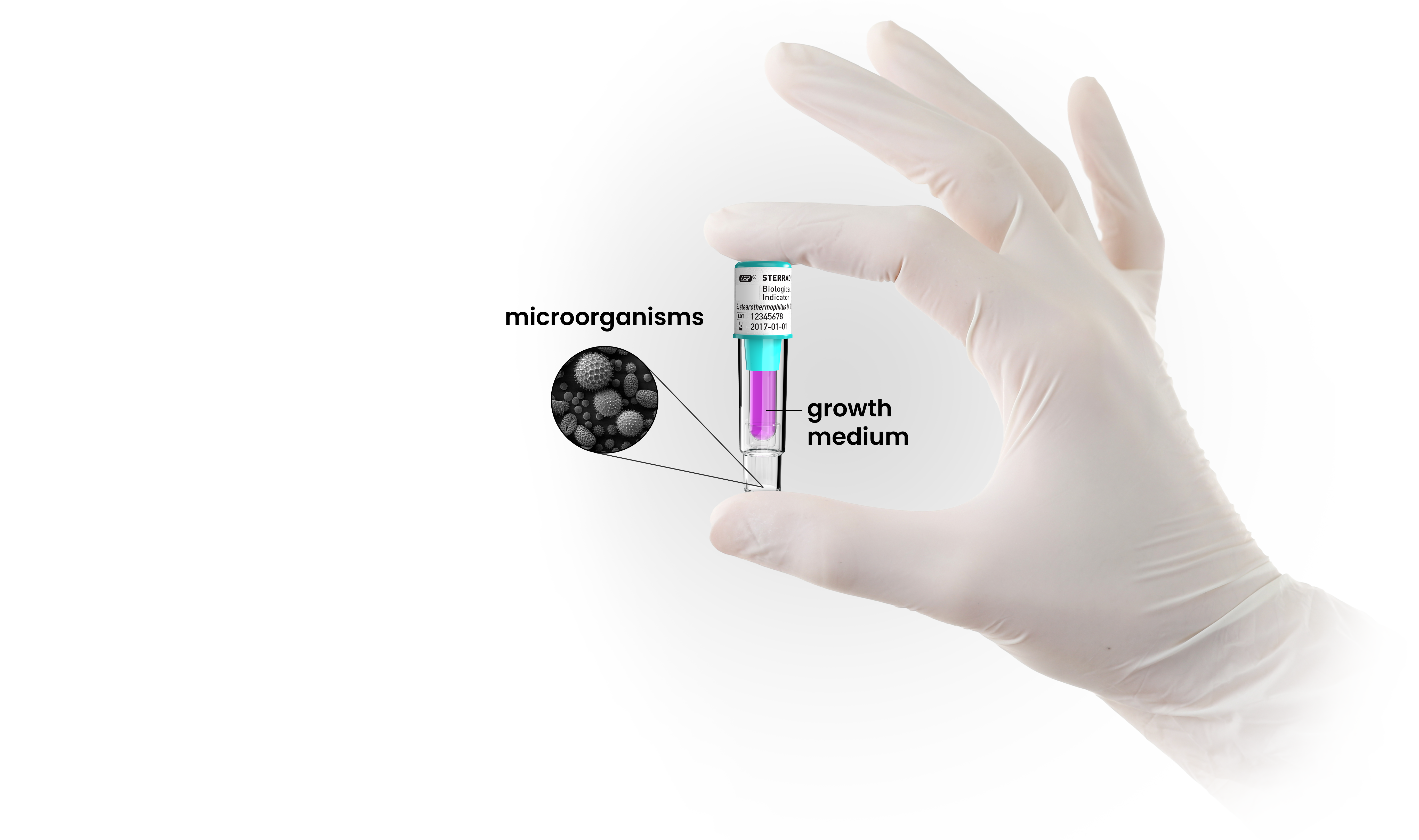 sterilization，technology，equipment，