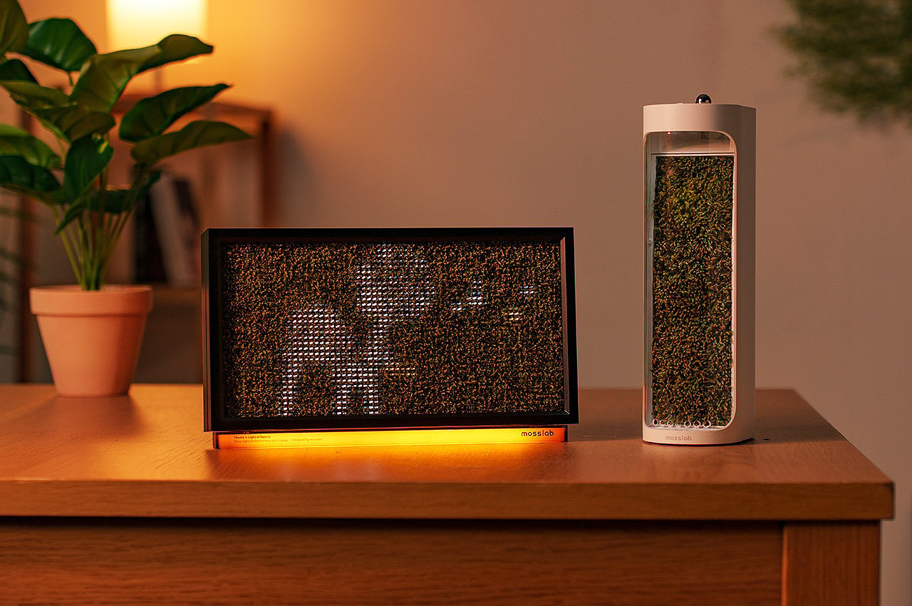 MOSS ECHO，Air purification，wireless，speaker，