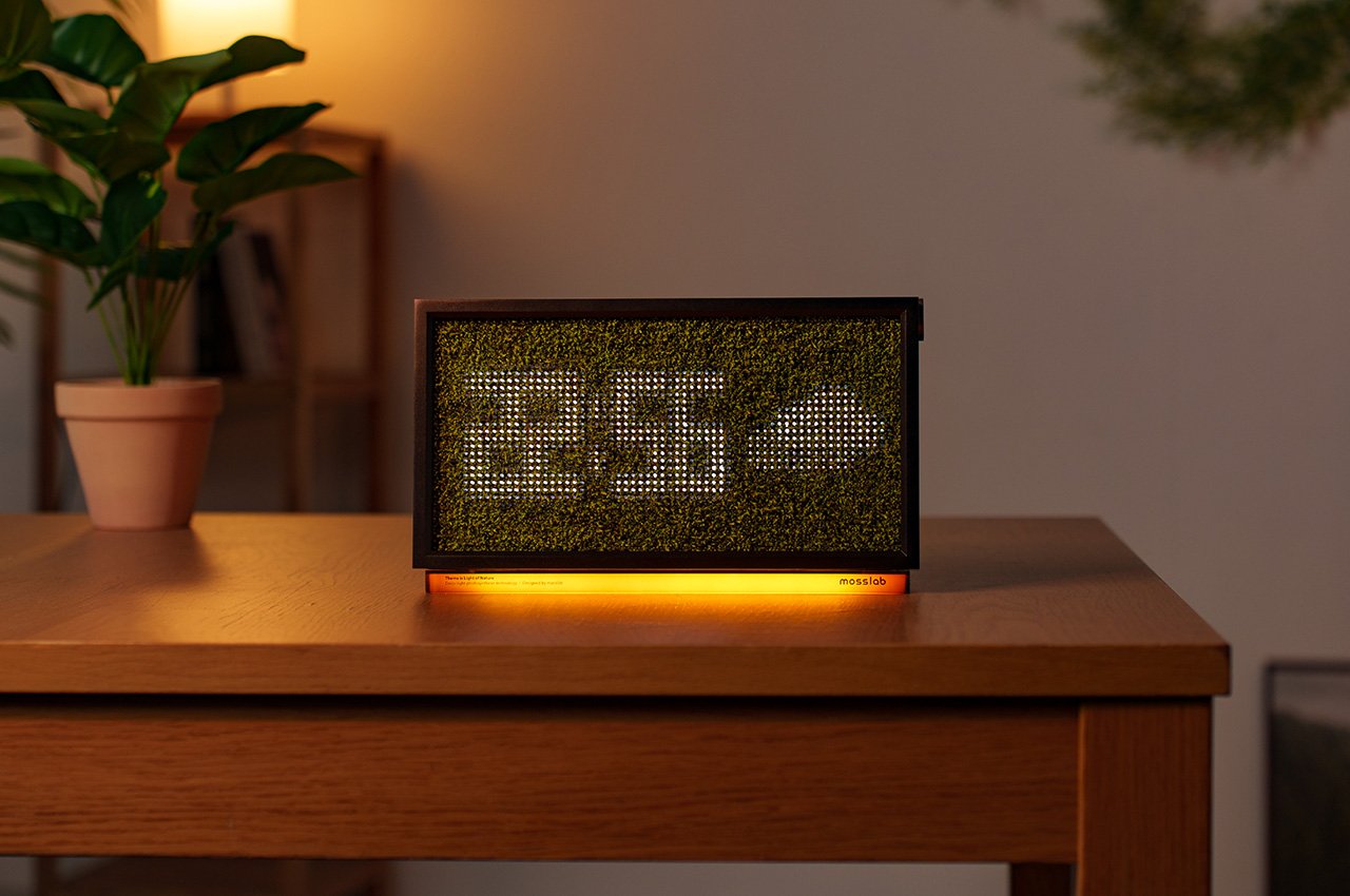 MOSS ECHO，Air purification，wireless，speaker，