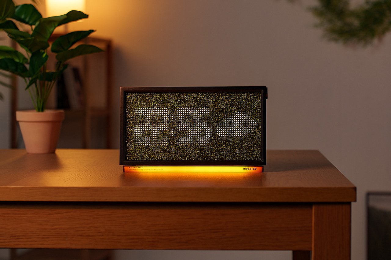 MOSS ECHO，Air purification，wireless，speaker，