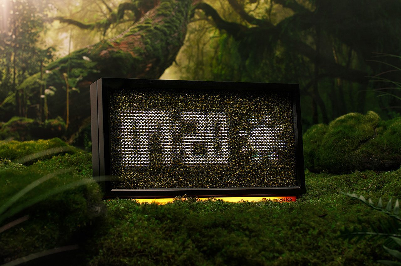 MOSS ECHO，Air purification，wireless，speaker，