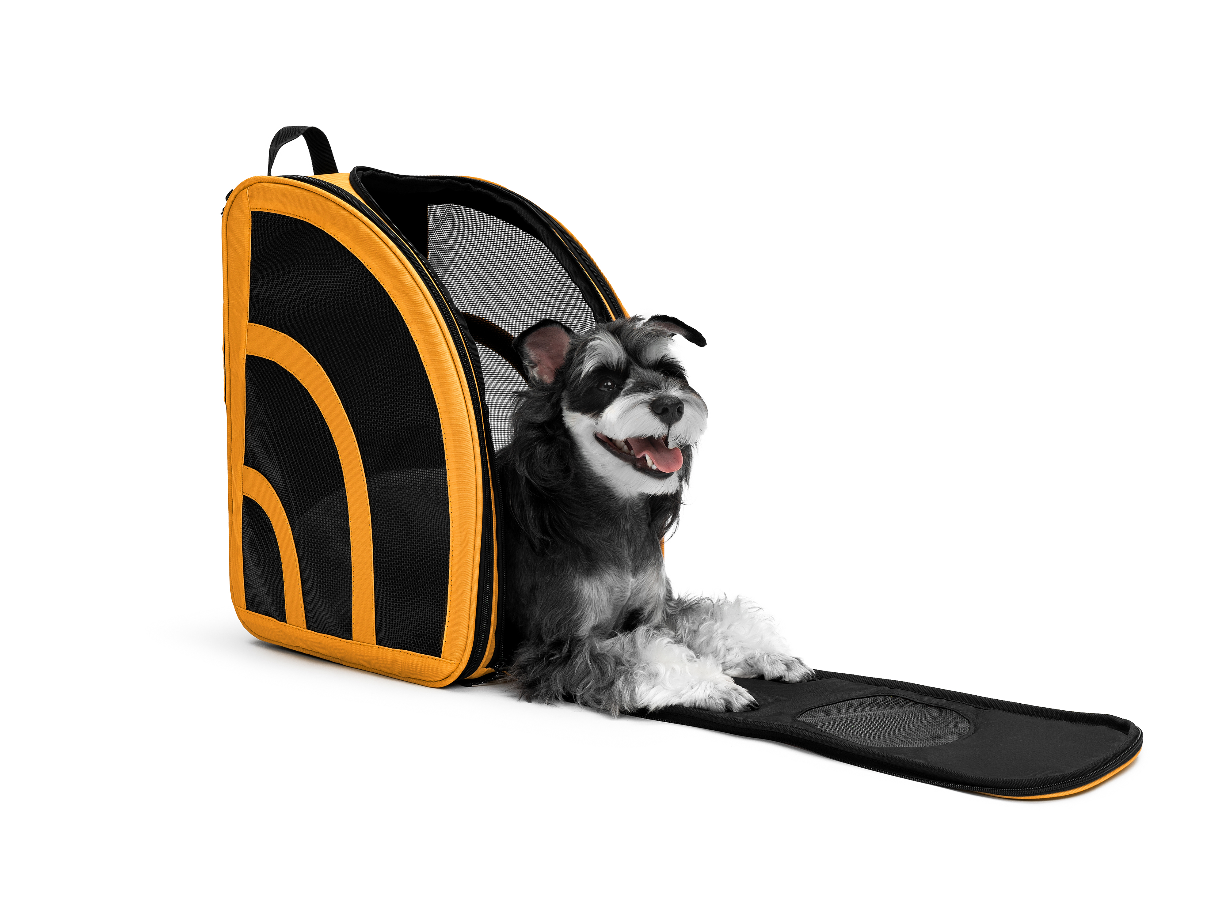 German if Award，Pet Supplies & Pet，pet knapsack ，THE NORTH FACE，If design award，Pet products，industrial design，product design，