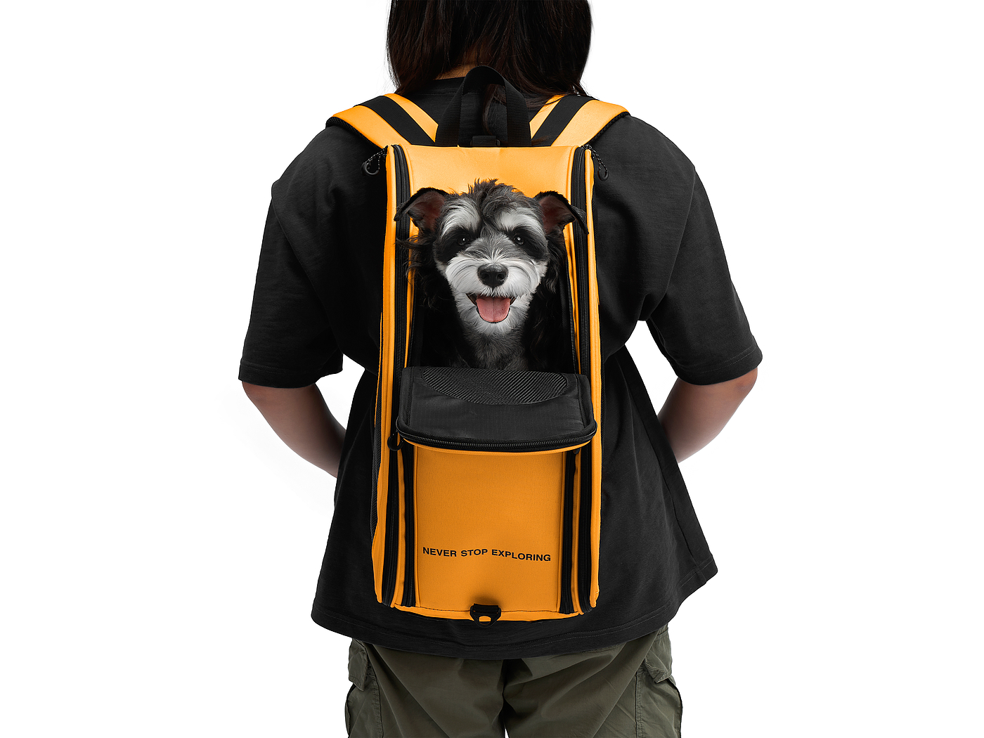 German if Award，Pet Supplies & Pet，pet knapsack ，THE NORTH FACE，If design award，Pet products，industrial design，product design，