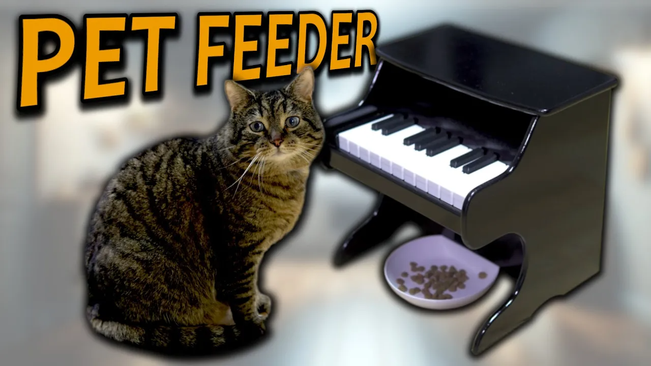 Pets，piano，Design，Feeding，equipment，