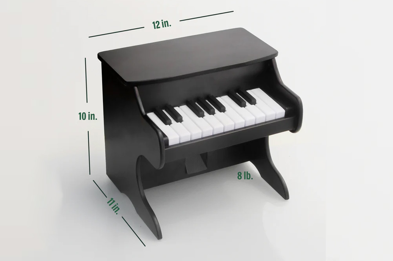 Pets，piano，Design，Feeding，equipment，