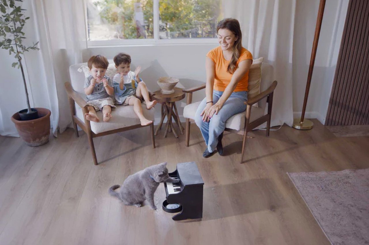 Pets，piano，Design，Feeding，equipment，