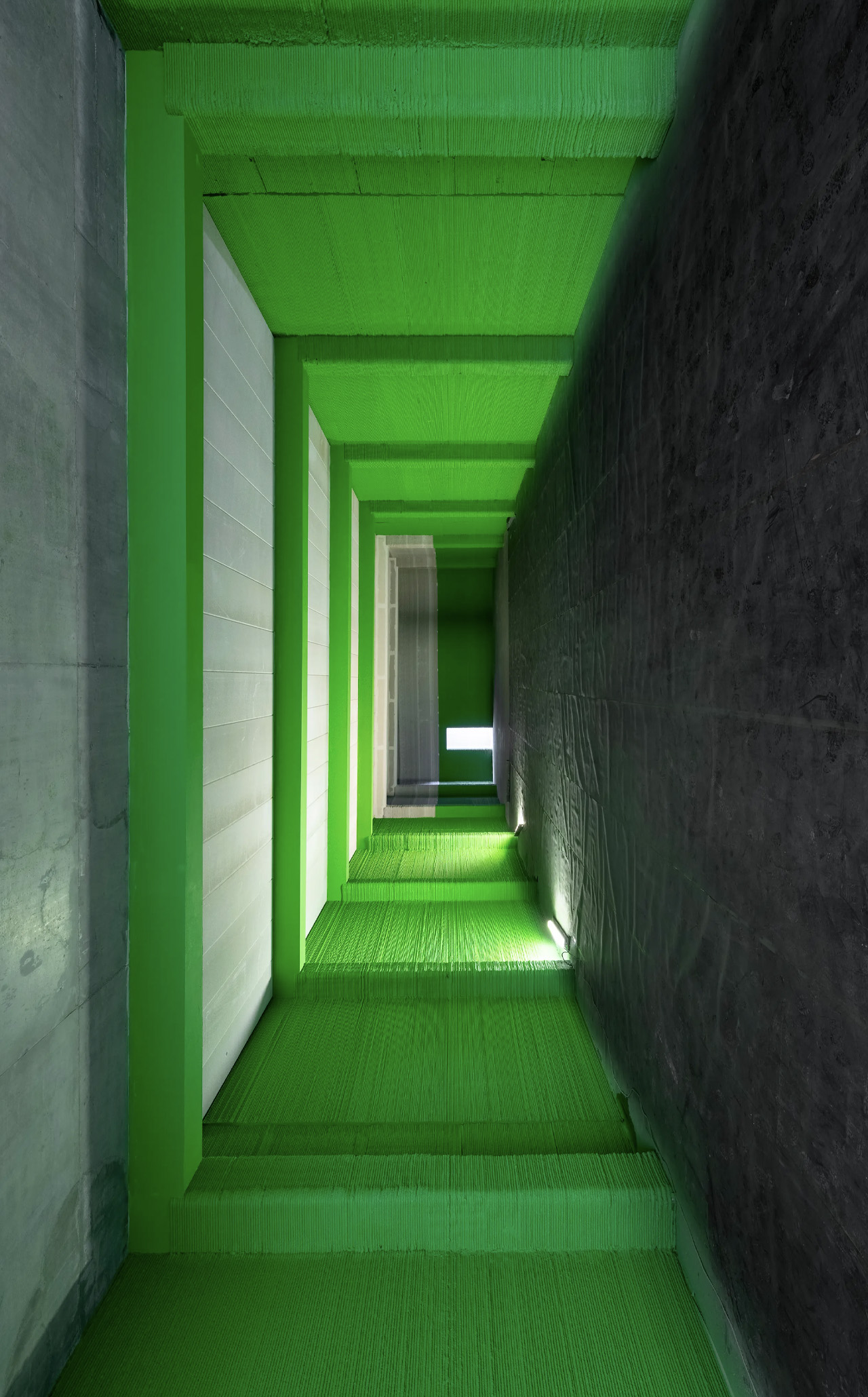 Wave House，Architecture，house，environmental design，