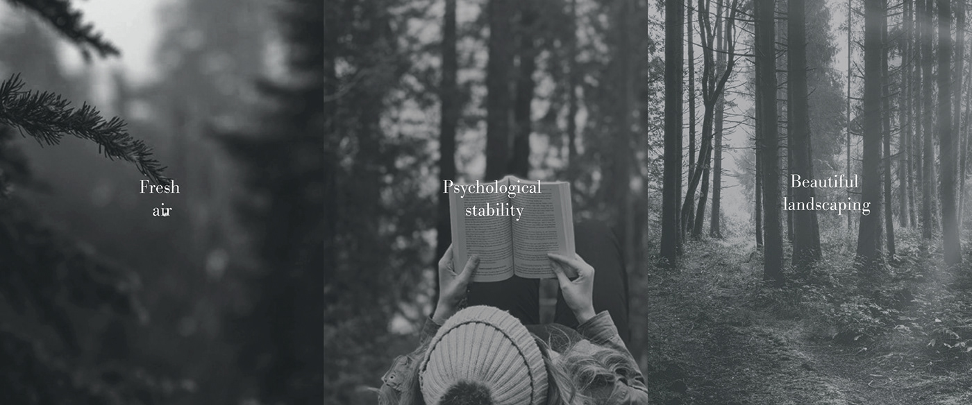 LINK，Housewear & Furnishings，glass，environment protection，