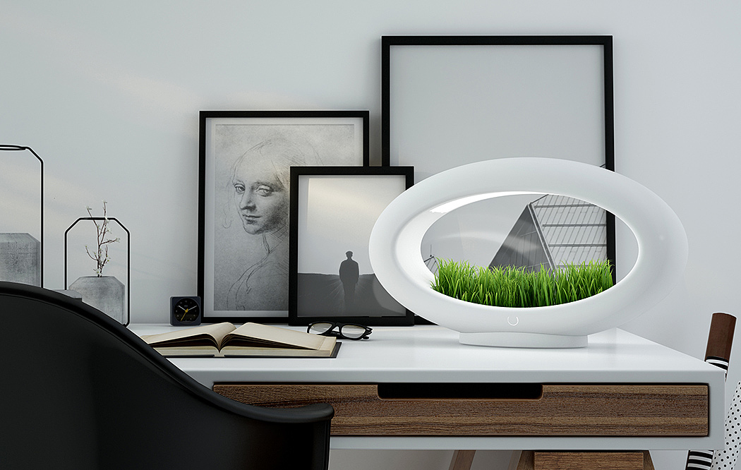 Potted plants，Desk lamp，Grasslamp，