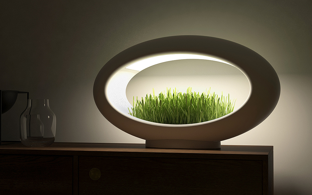 Potted plants，Desk lamp，Grasslamp，
