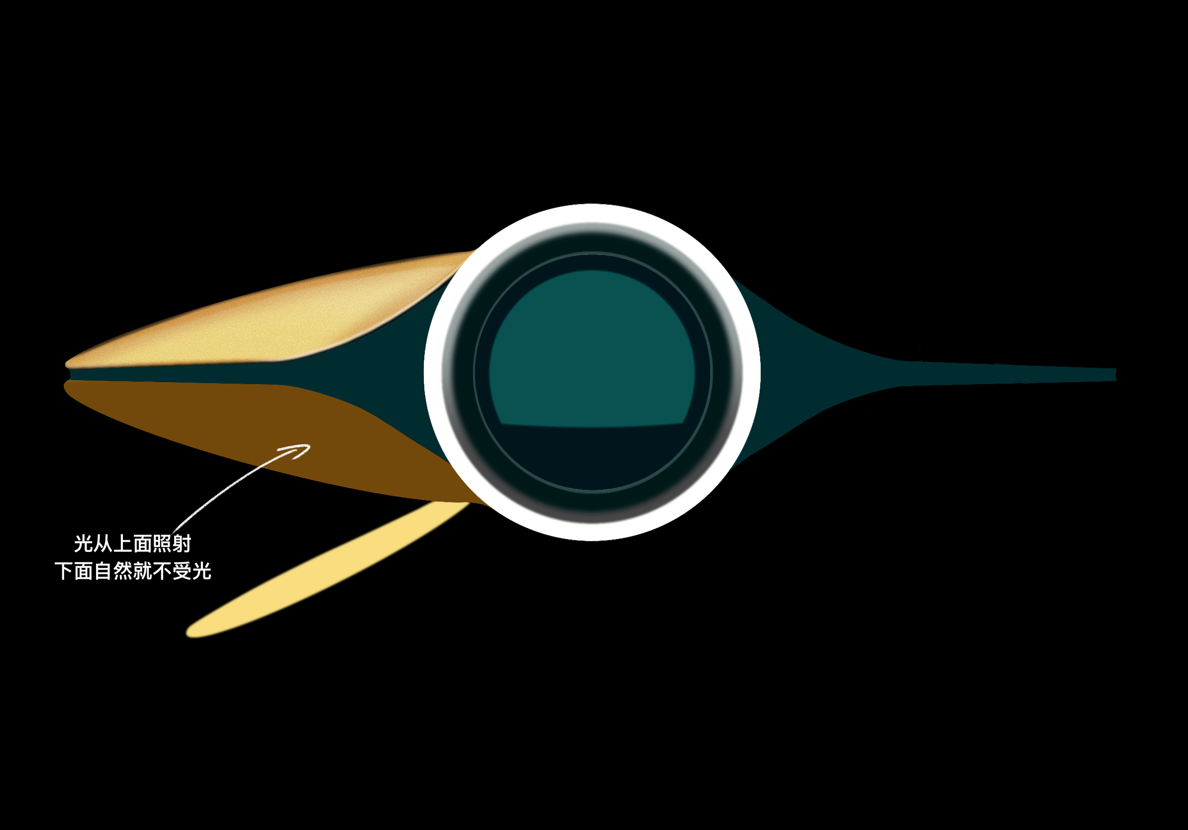 industrial design，Ubee ，Procreate，