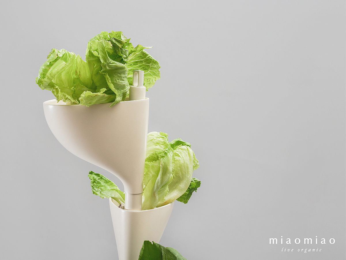 Miaomiao，Indoor planting，sharing economy，Agricultural planting，