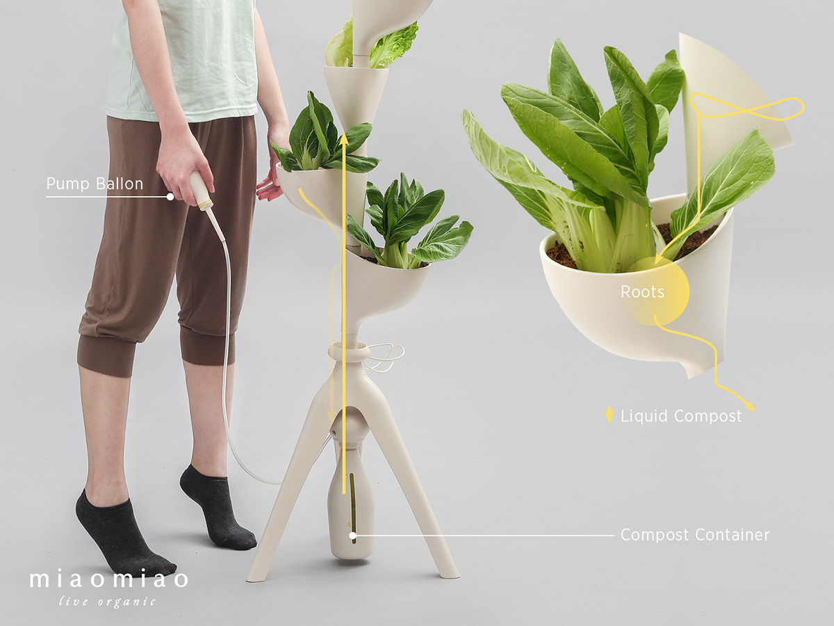 Miaomiao，Indoor planting，sharing economy，Agricultural planting，
