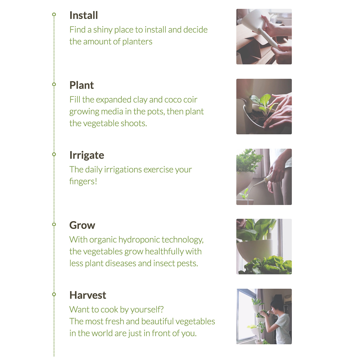 Miaomiao，Indoor planting，sharing economy，Agricultural planting，