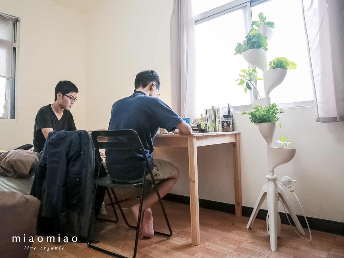 Miaomiao，Indoor planting，sharing economy，Agricultural planting，