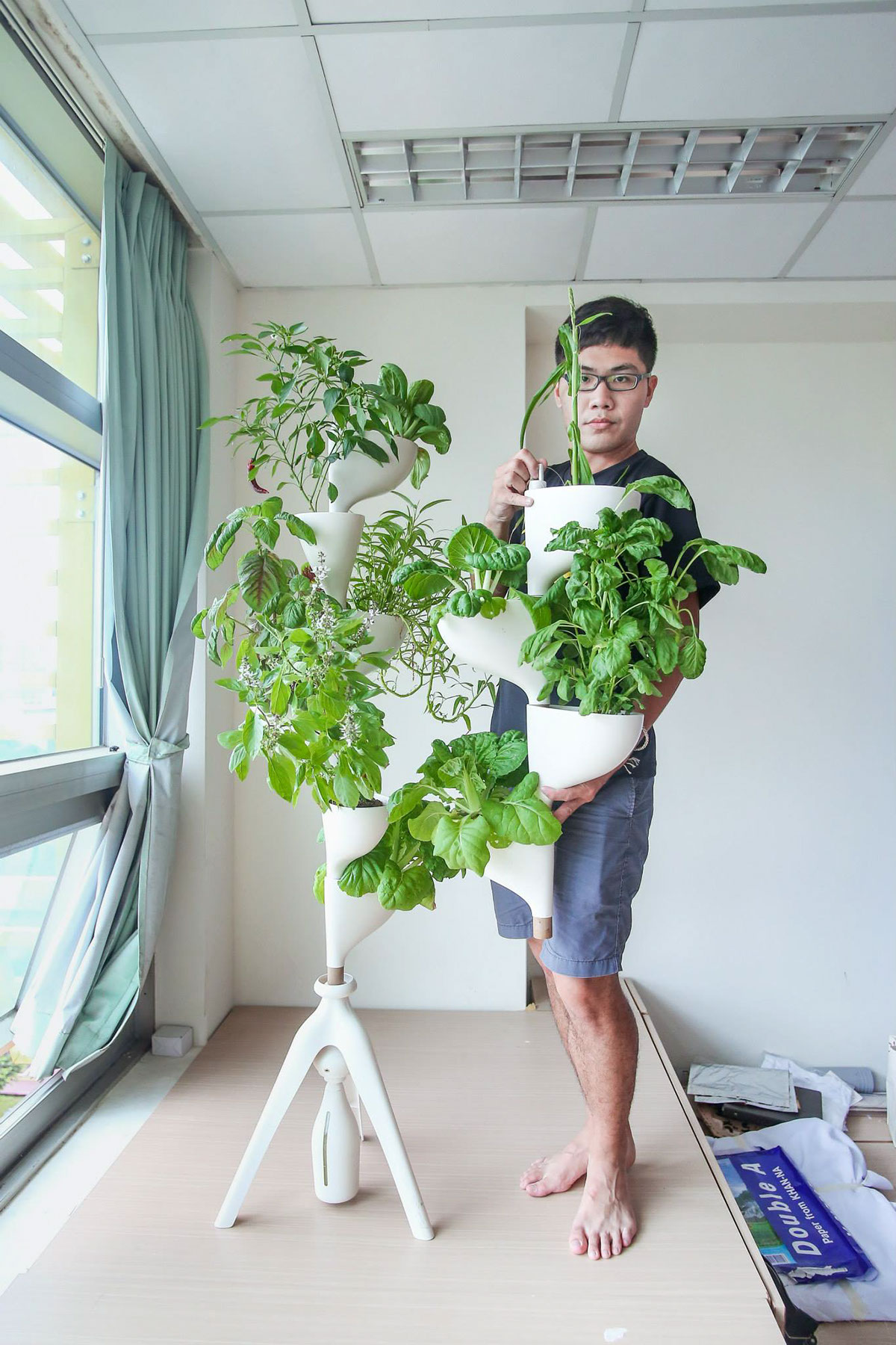 Miaomiao，Indoor planting，sharing economy，Agricultural planting，